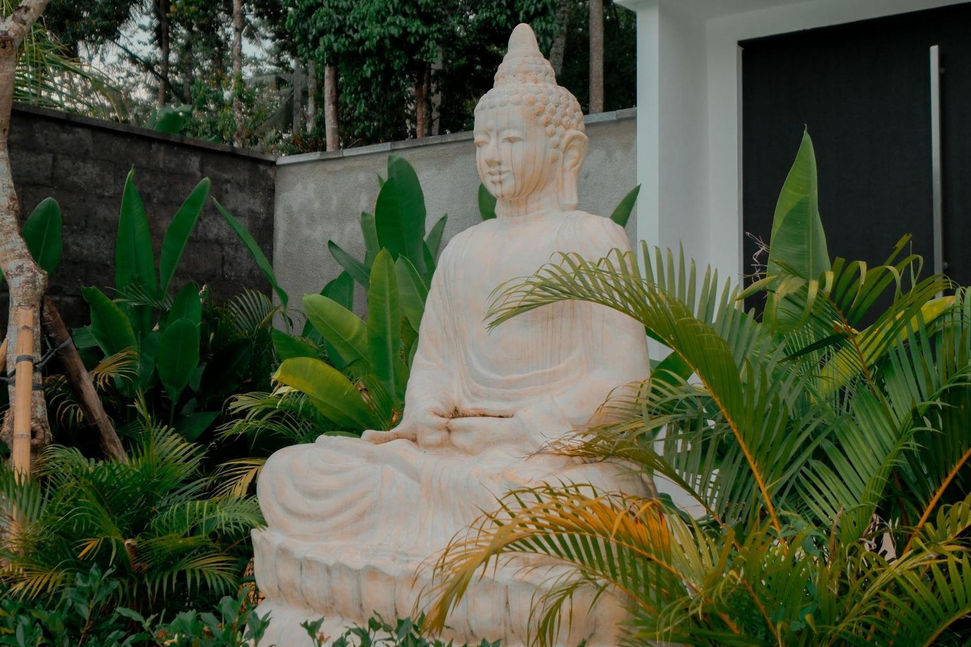 The Jangala Luxury Retreat - Pura