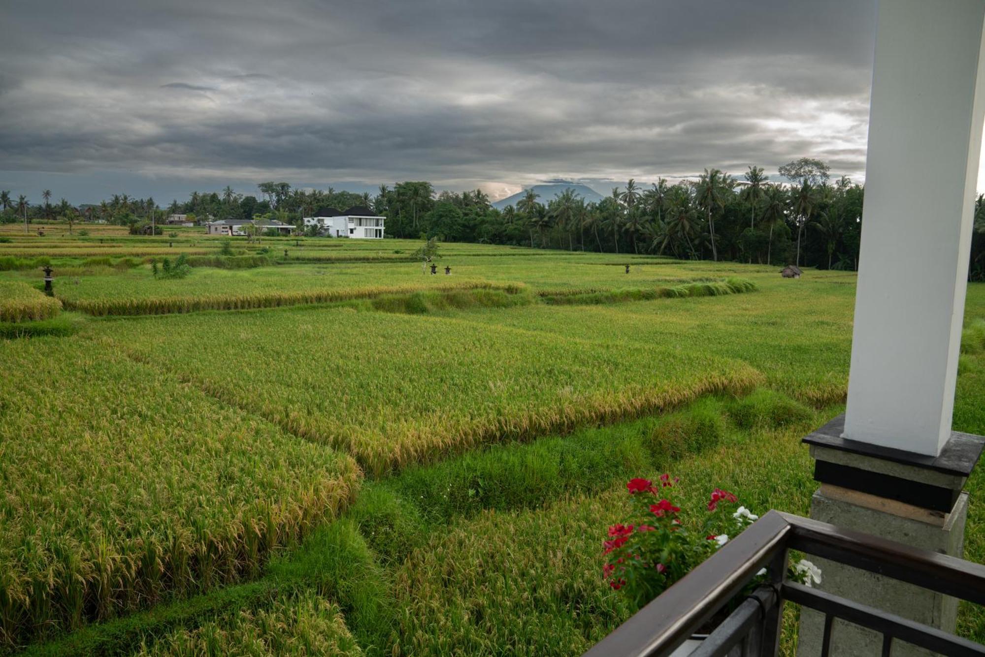 Ananditha Ricefield Views Villa Ubud (Bali)