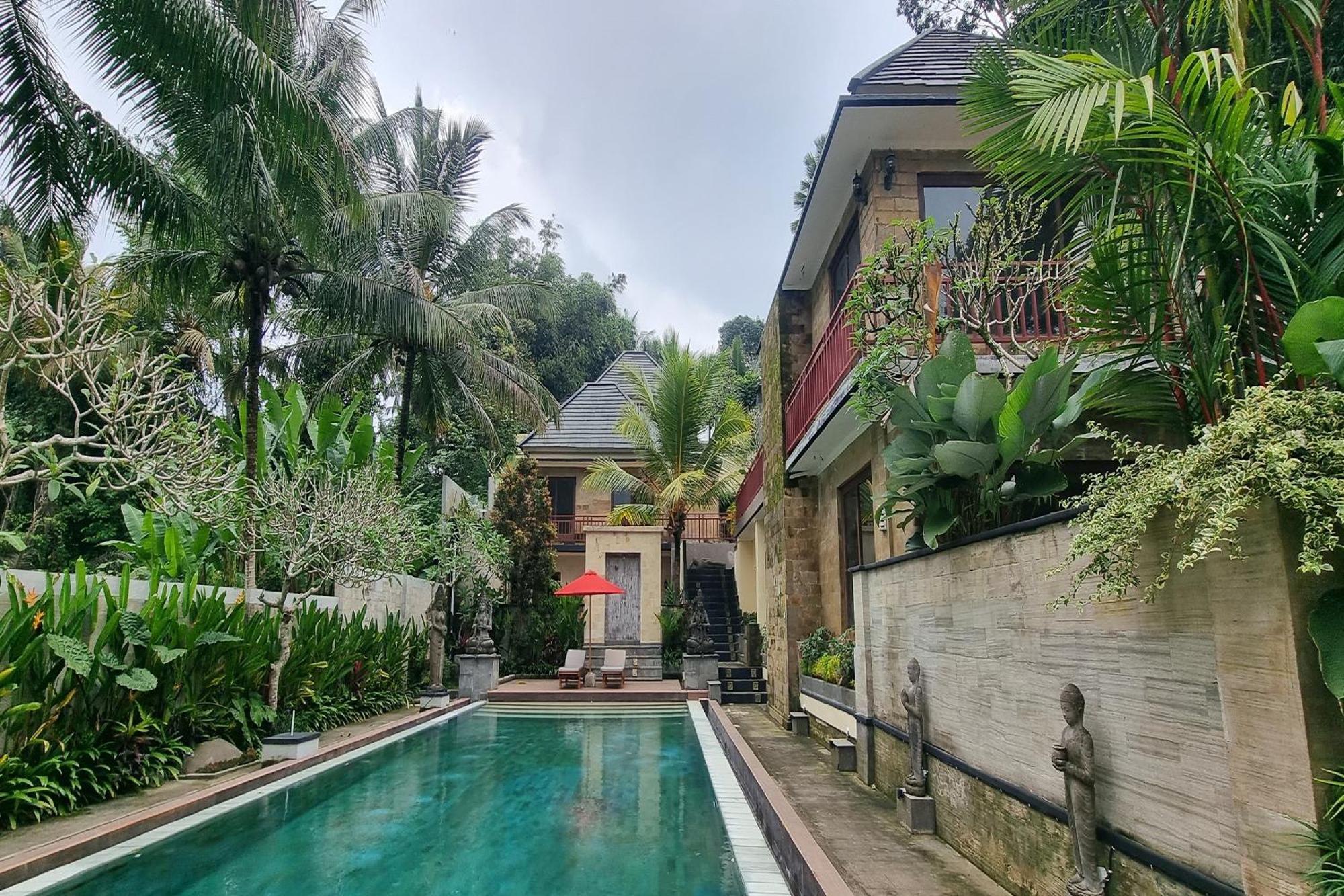 Kelusa Ubud (Bali)