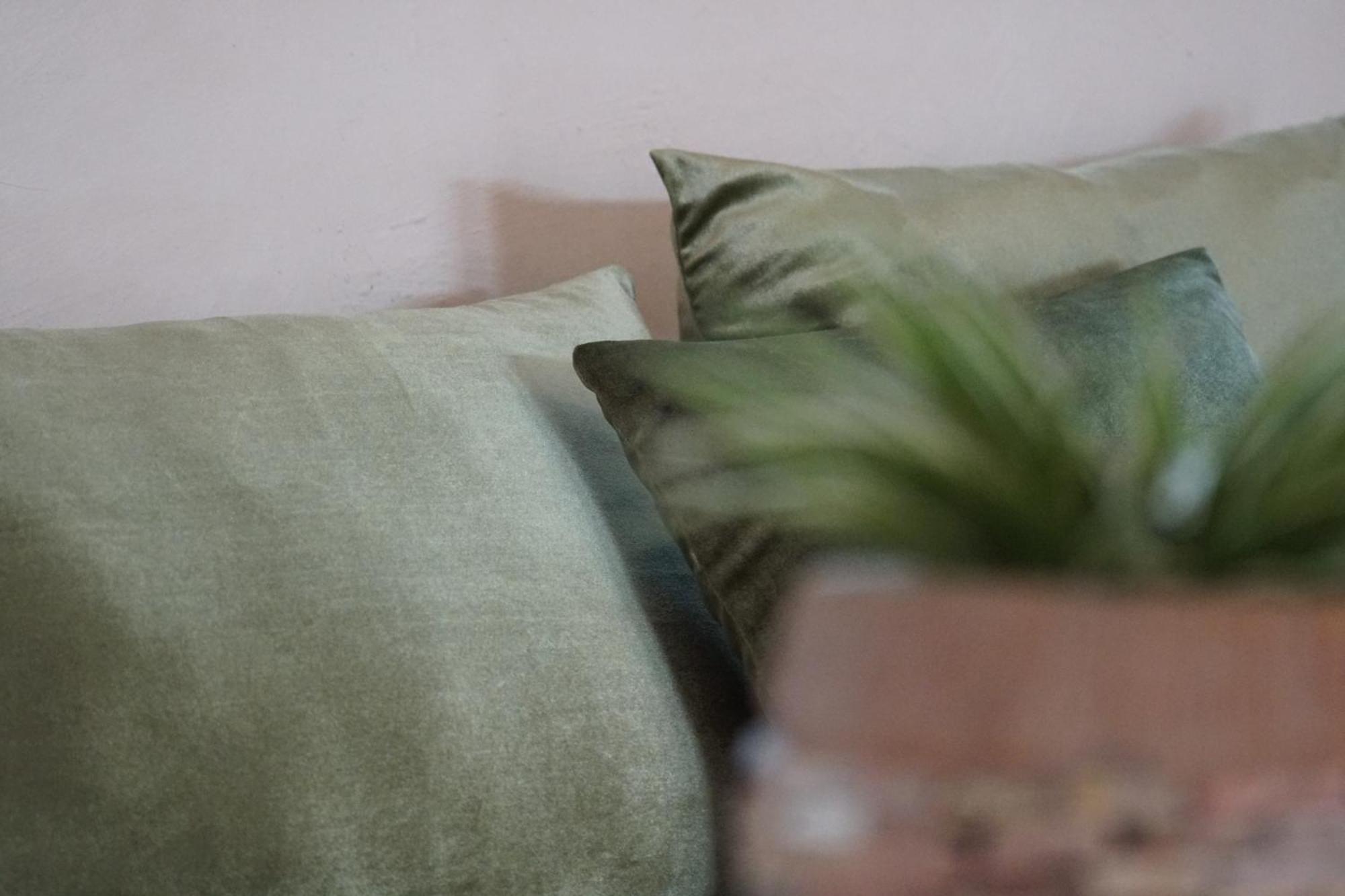 Bed & Breakfast The Ivy Boutique
