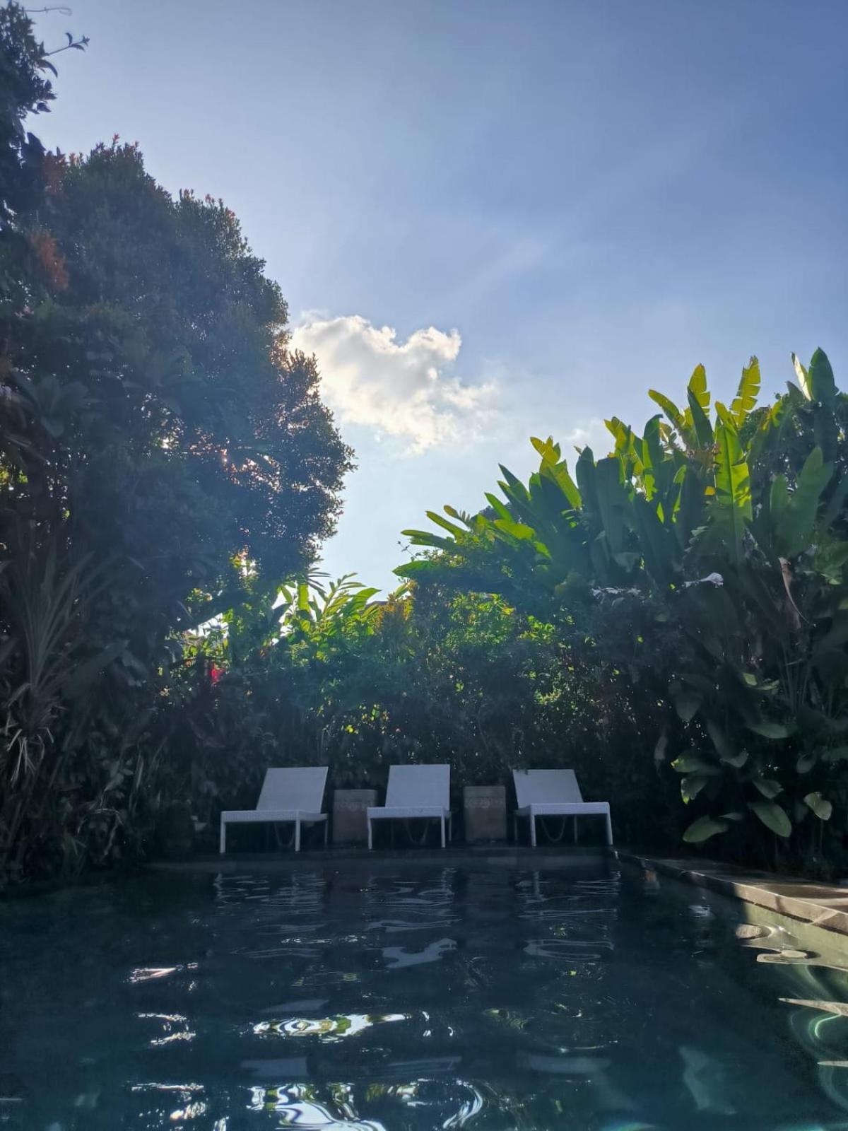 Yoga House Bali Lodge Ubud (Bali)