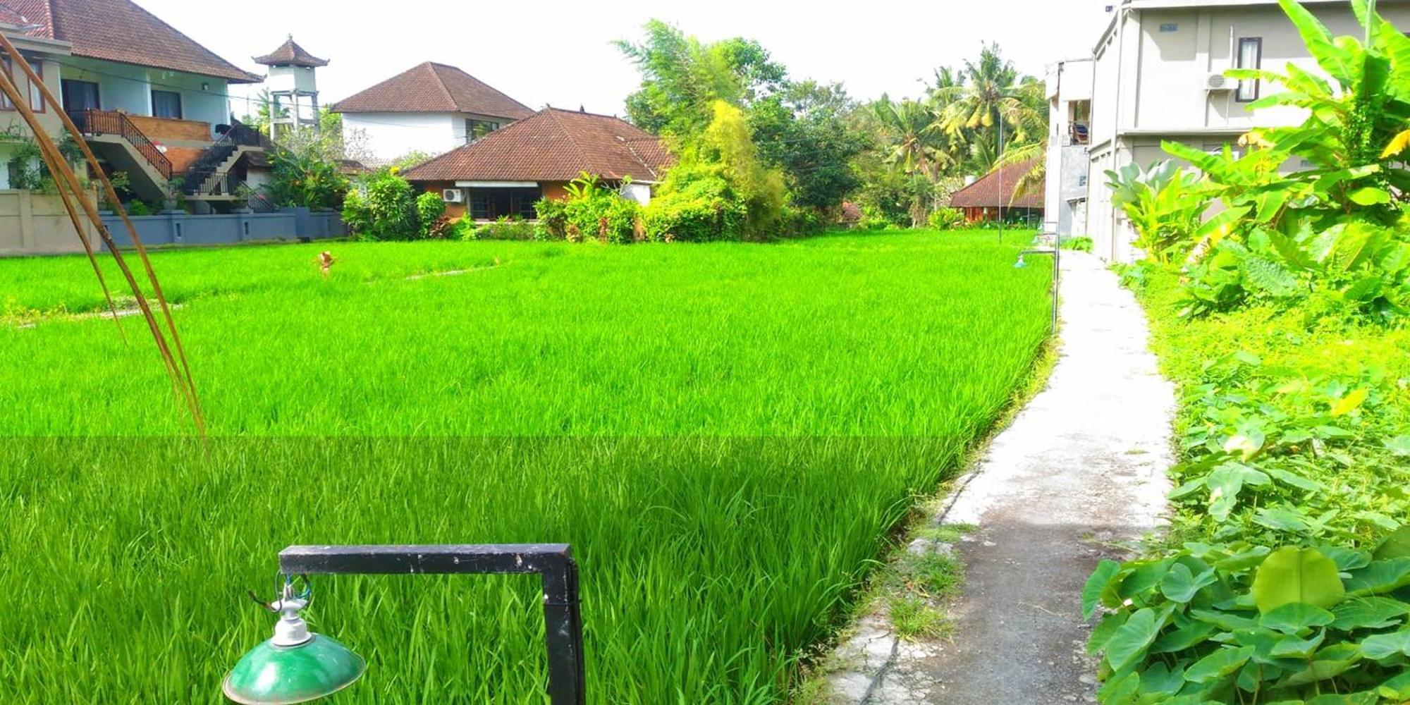 Keladi House Hostel *
