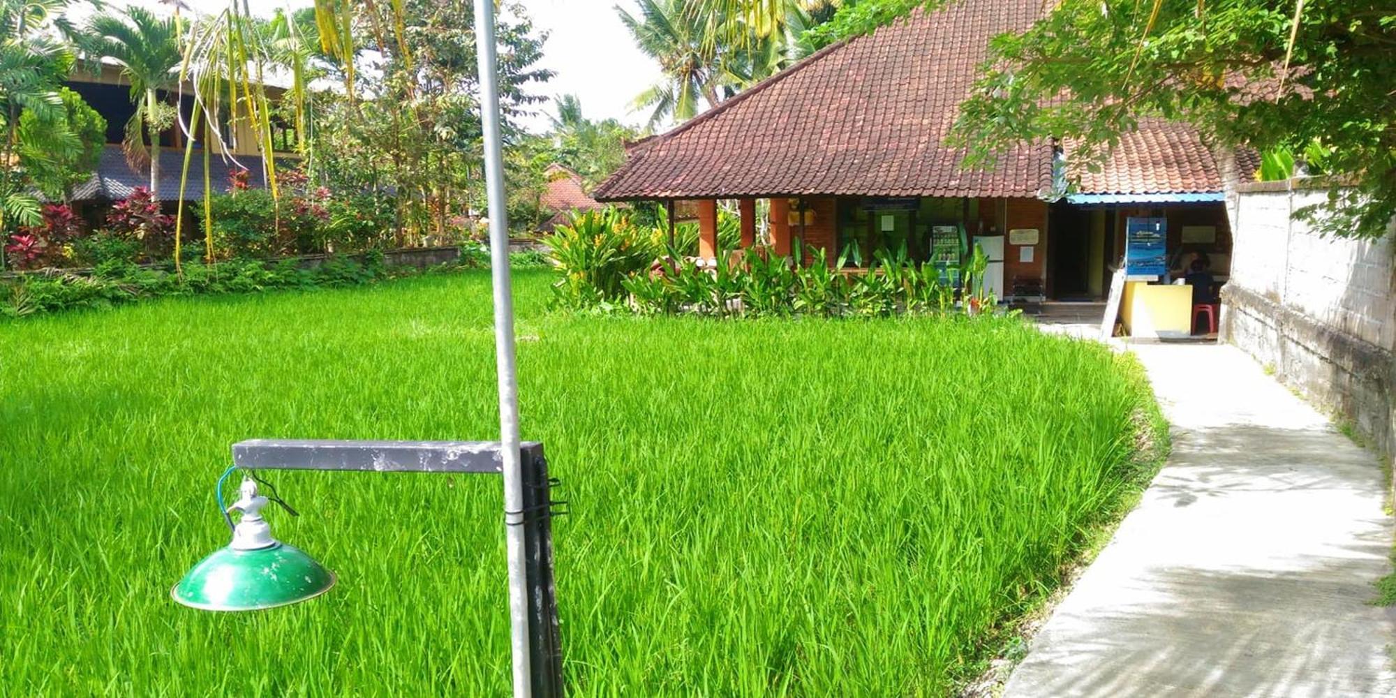 Hostel Keladi House *