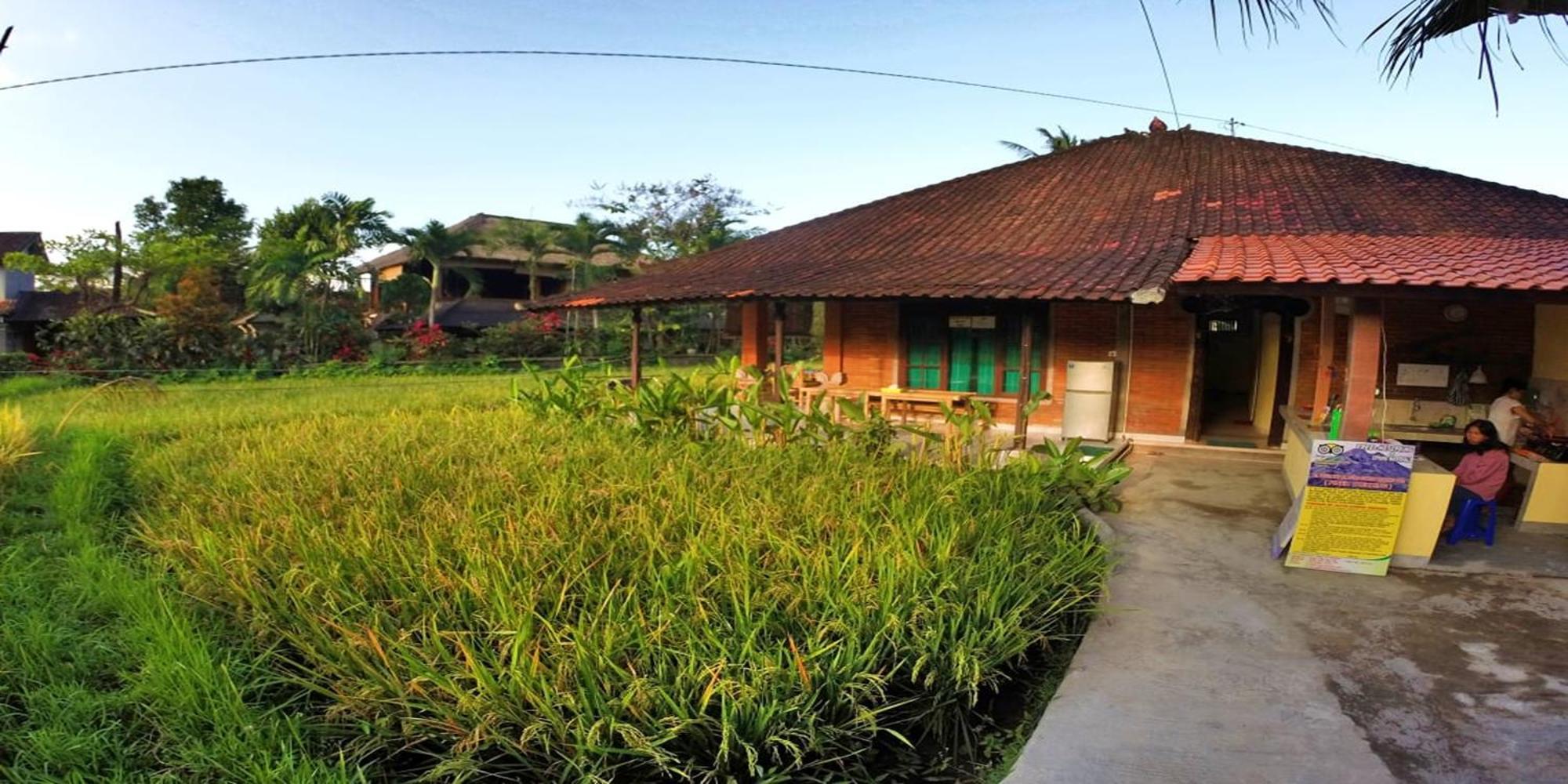 Keladi House Hostel *