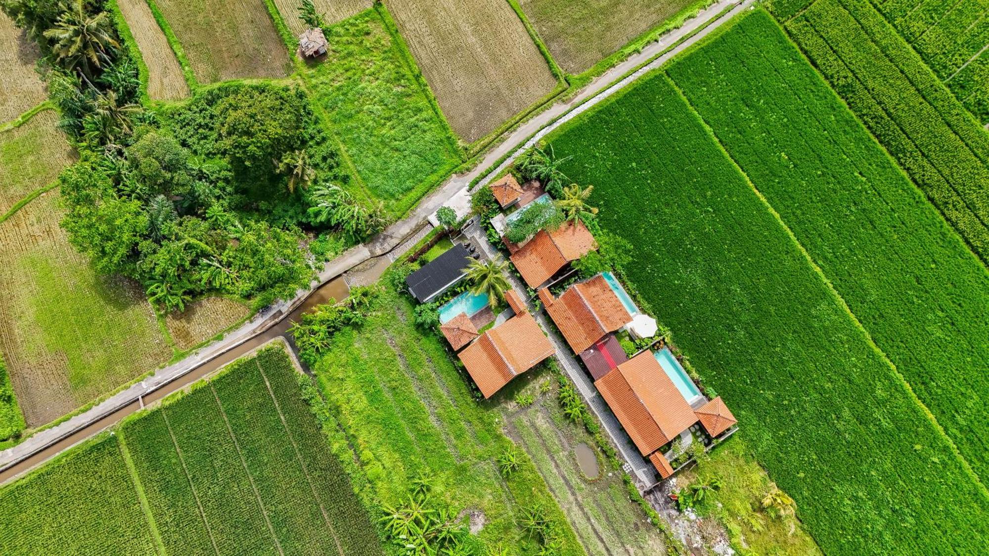 Rumah Tengah Sawah Villa *