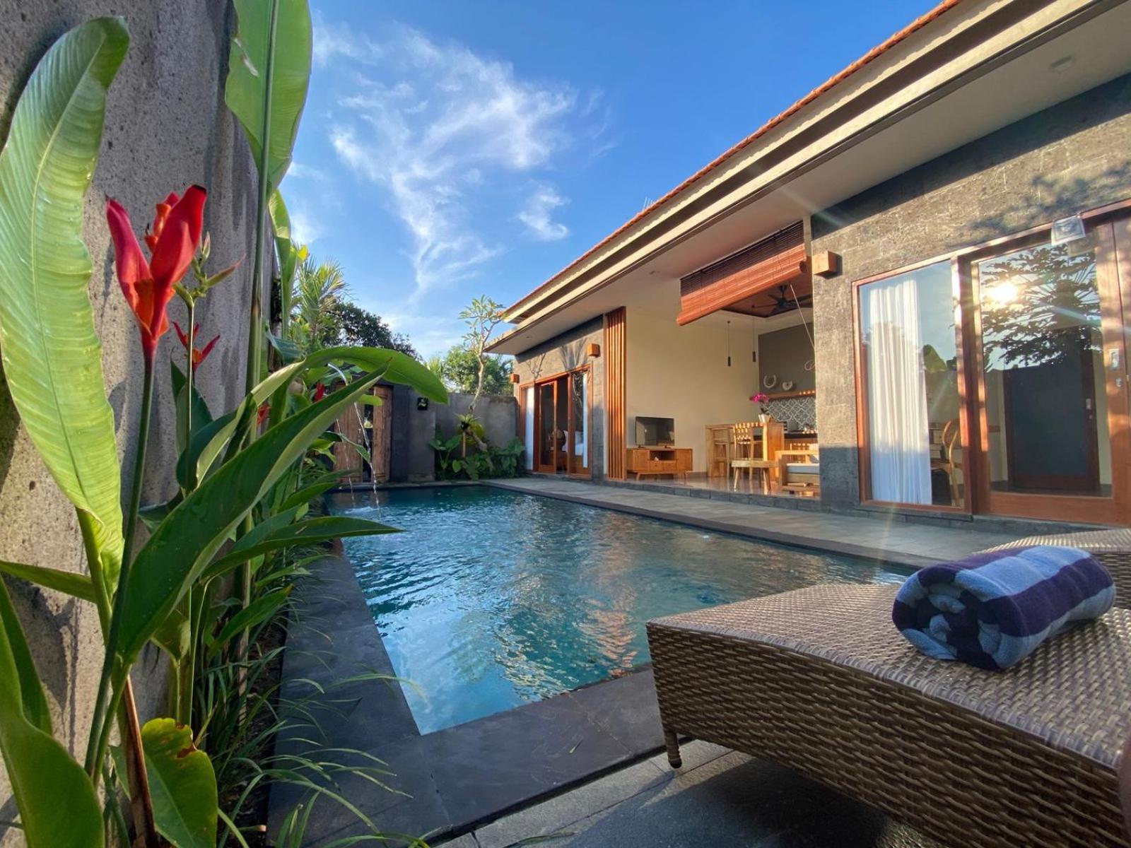 Livin House Ubud (Bali)