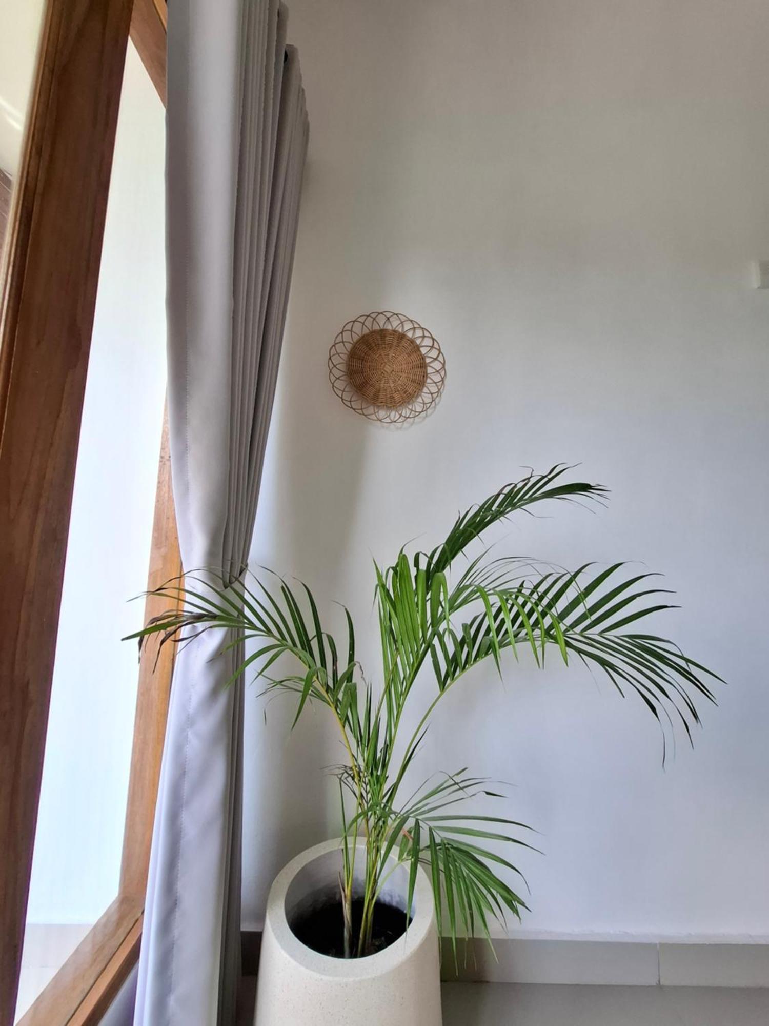 Palm House Guest house