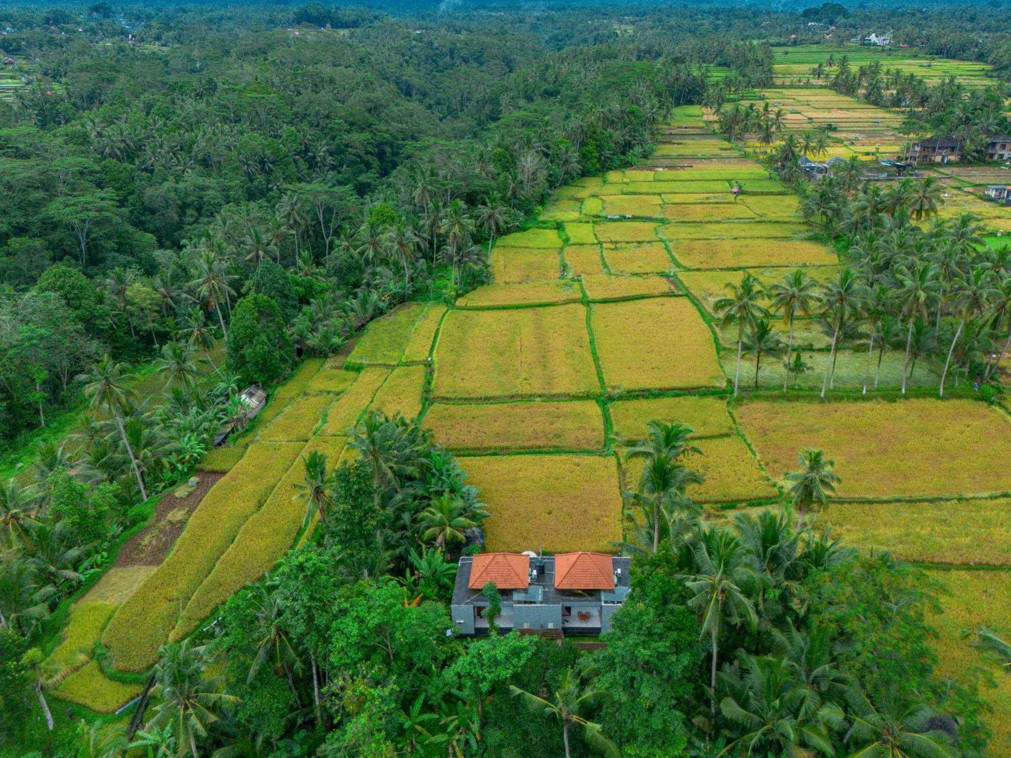 The Alus And Holiday park Ubud (Bali)