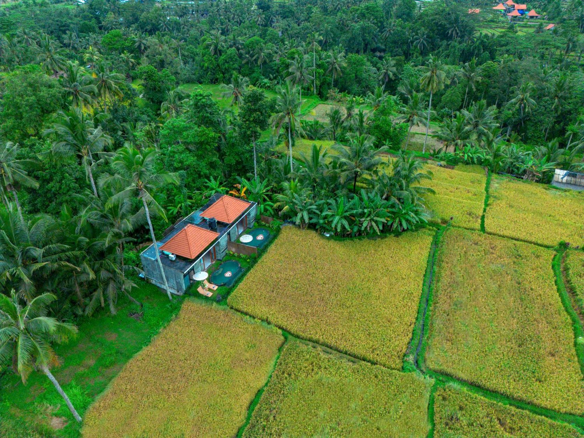 The Alus And 3* Ubud (Bali)