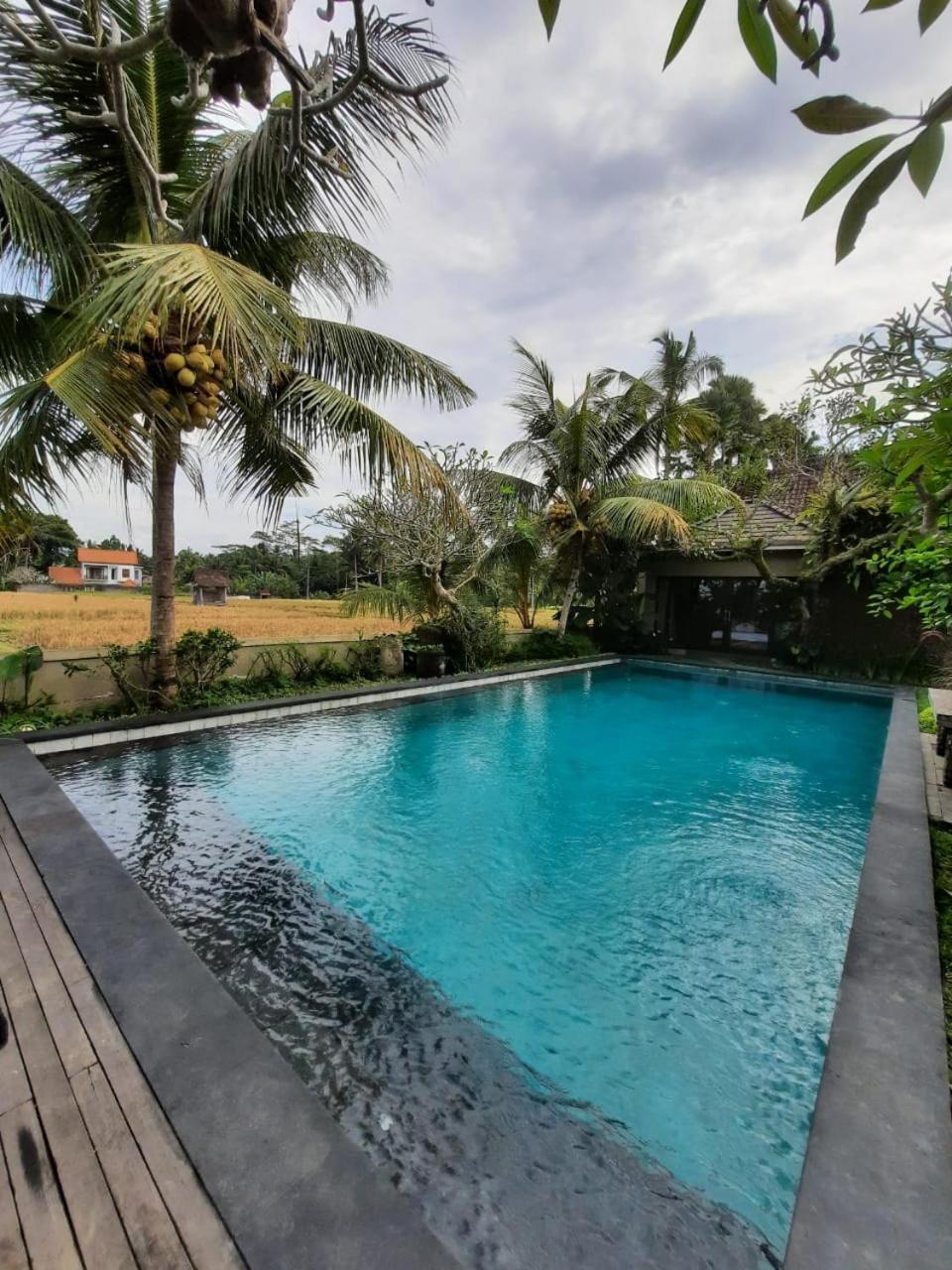 Villa Virgin Tirta Tawar *