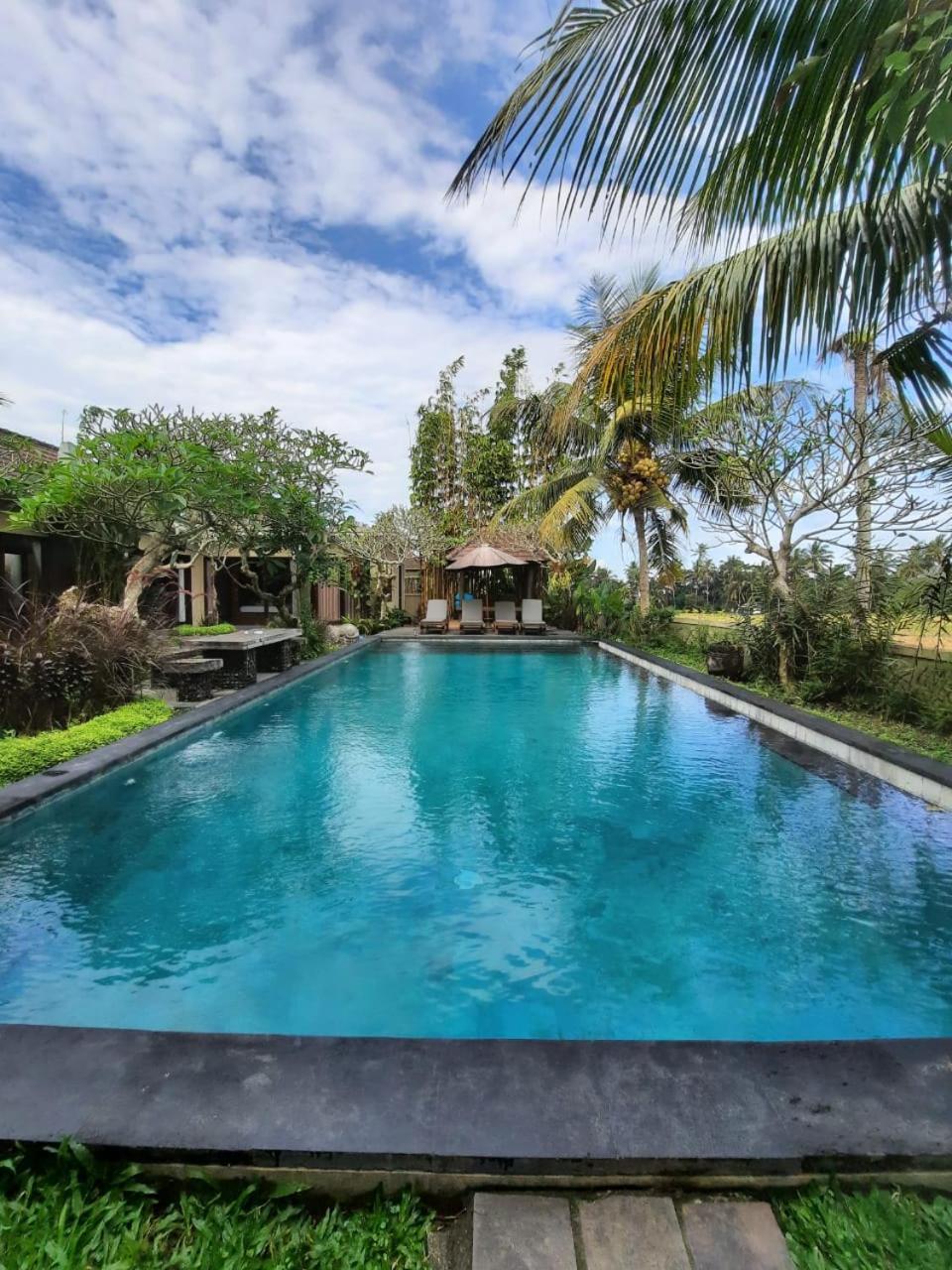 Virgin Tirta Tawar *