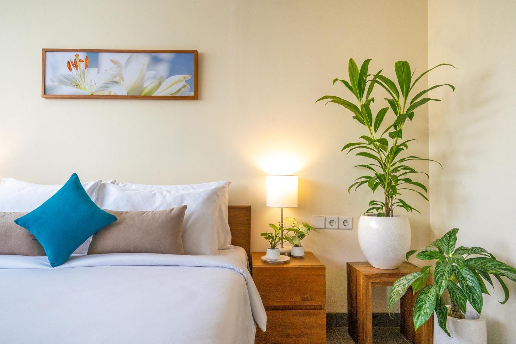 The Vinaya Boutique 3*