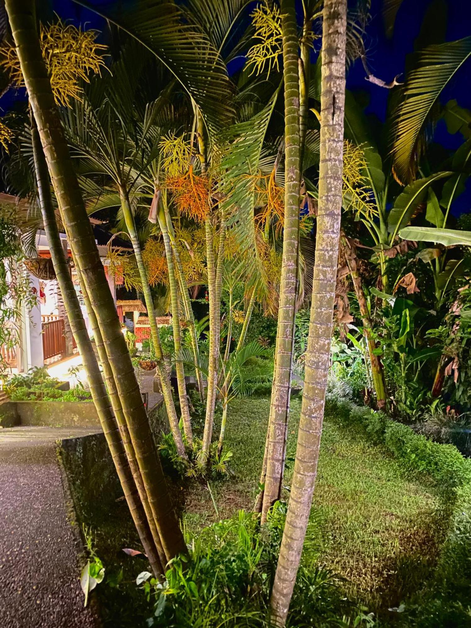 Tempat Tidur & Sarapan Ardan Maison