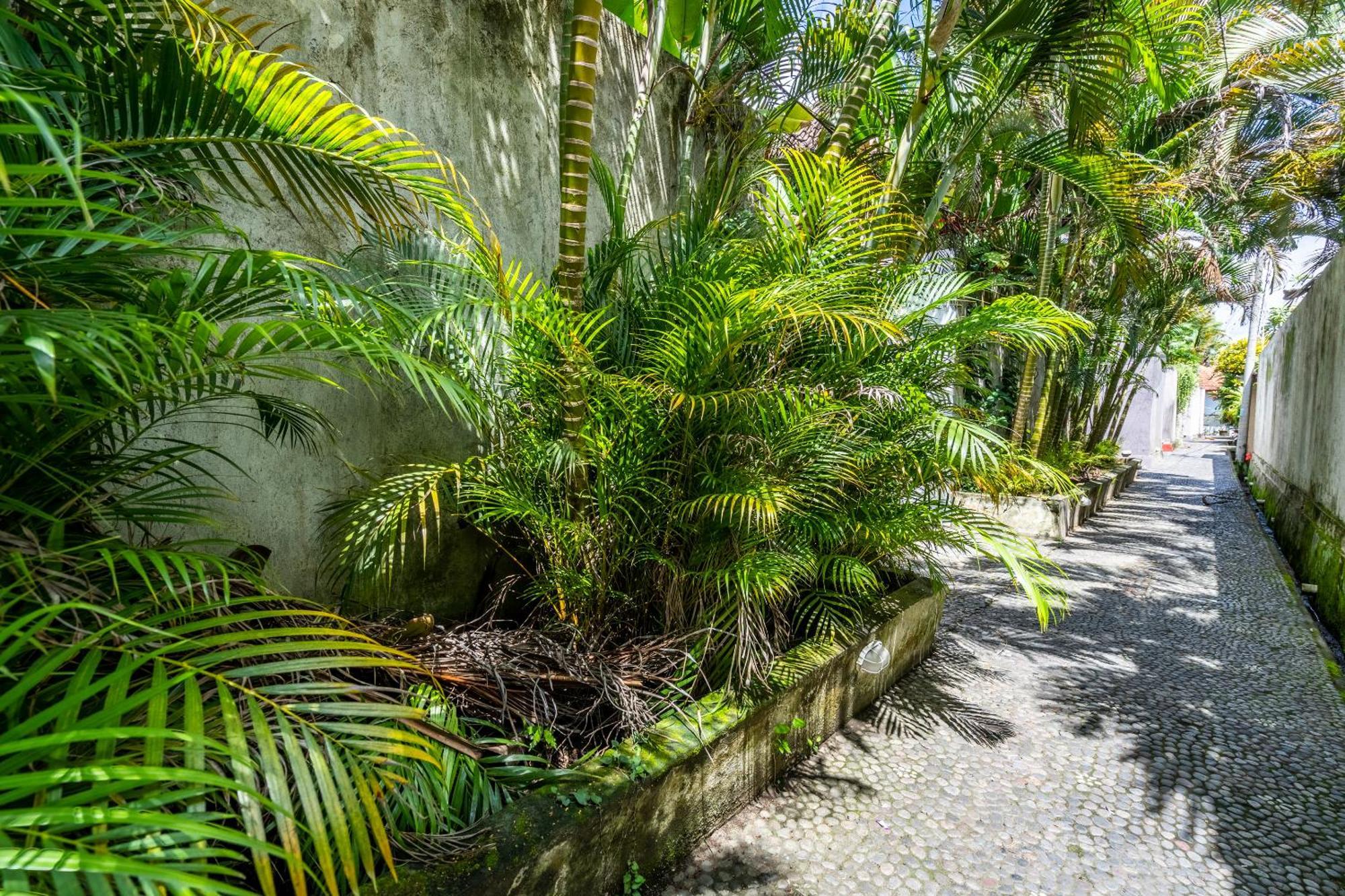 Jepun Ubud (Bali)