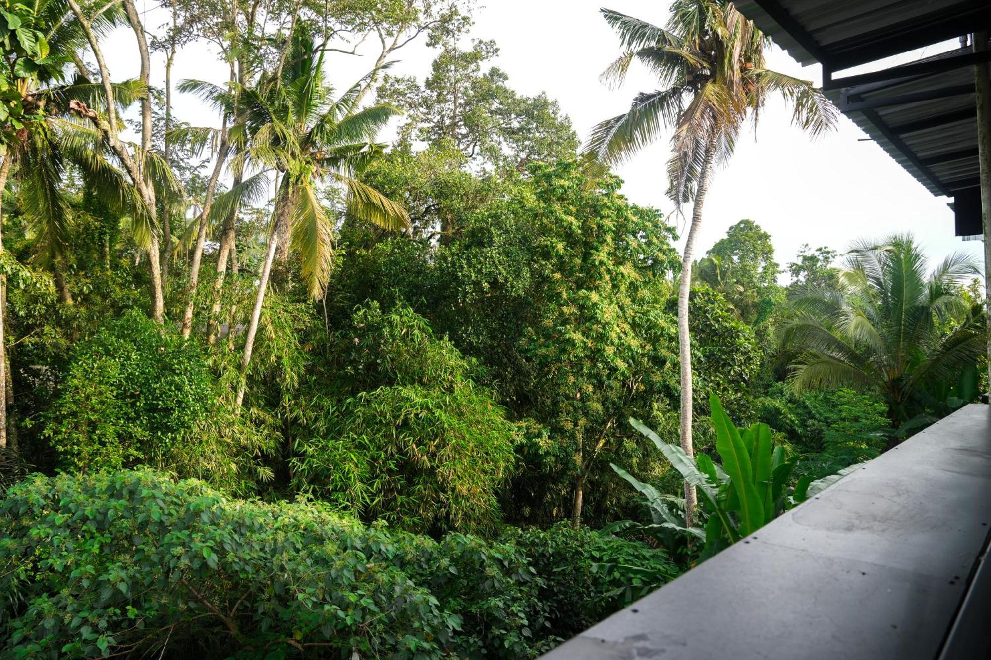 House Of Semar Sari Guest house Ubud (Bali)