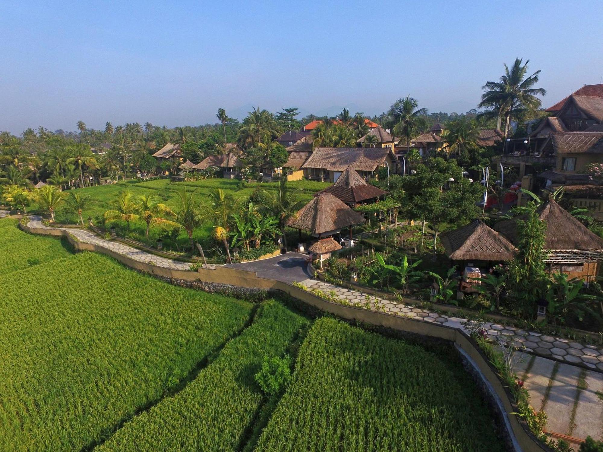Wapa Di Ume 4* Ubud