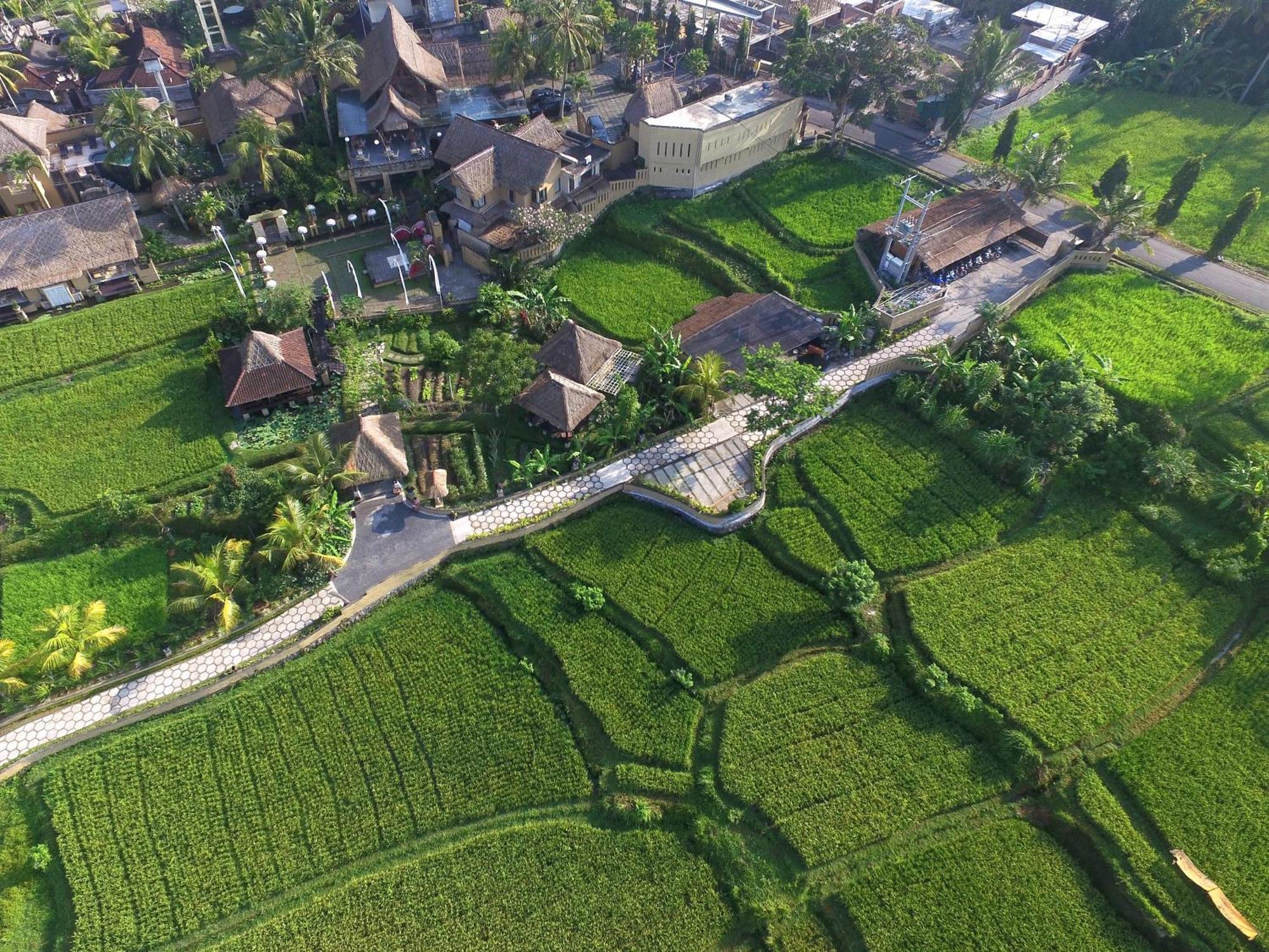 Resort Wapa Di Ume Ubud