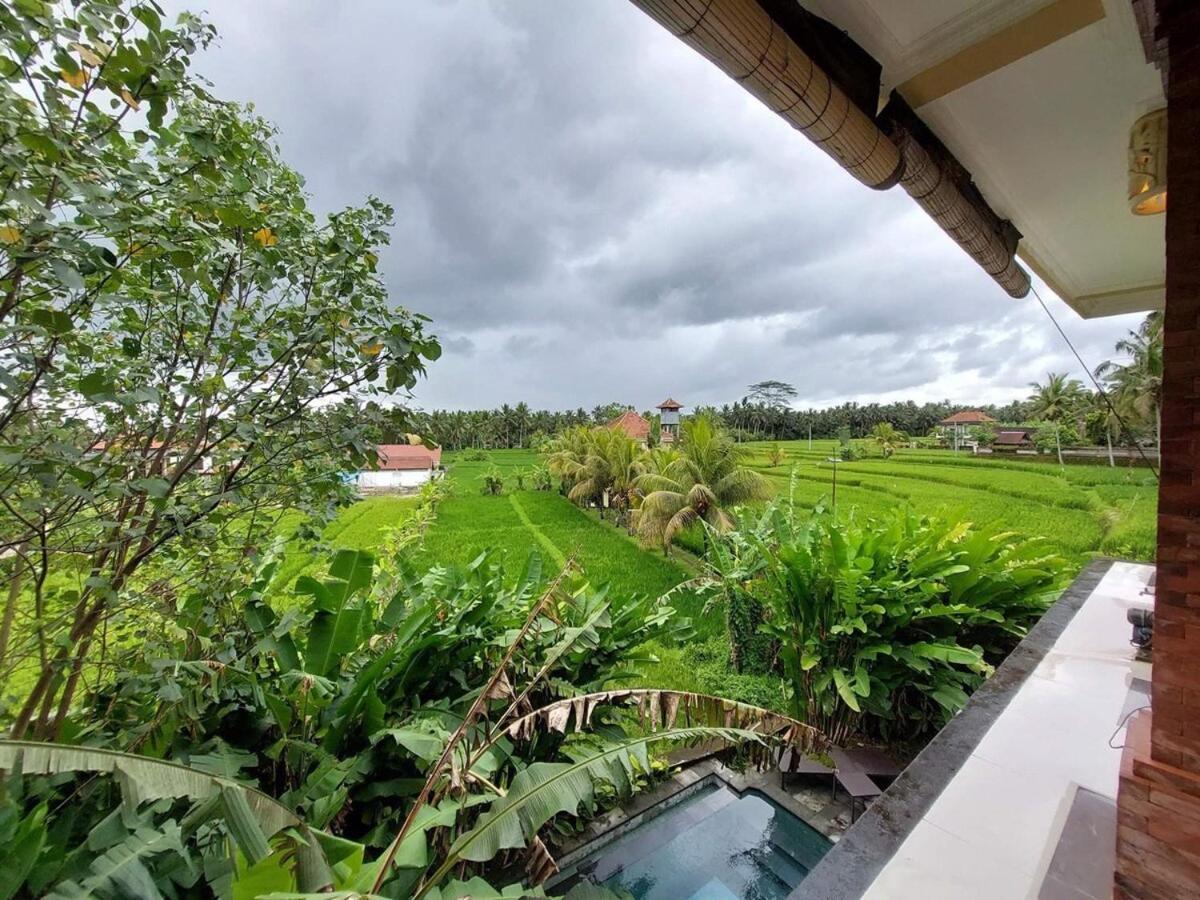3br With Pool & View - Walkable To Center Holiday home