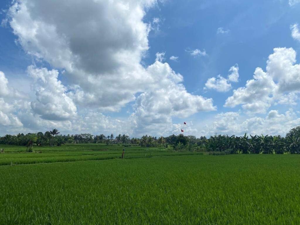 3br With Pool & View - Walkable To Center Ubud (Bali)