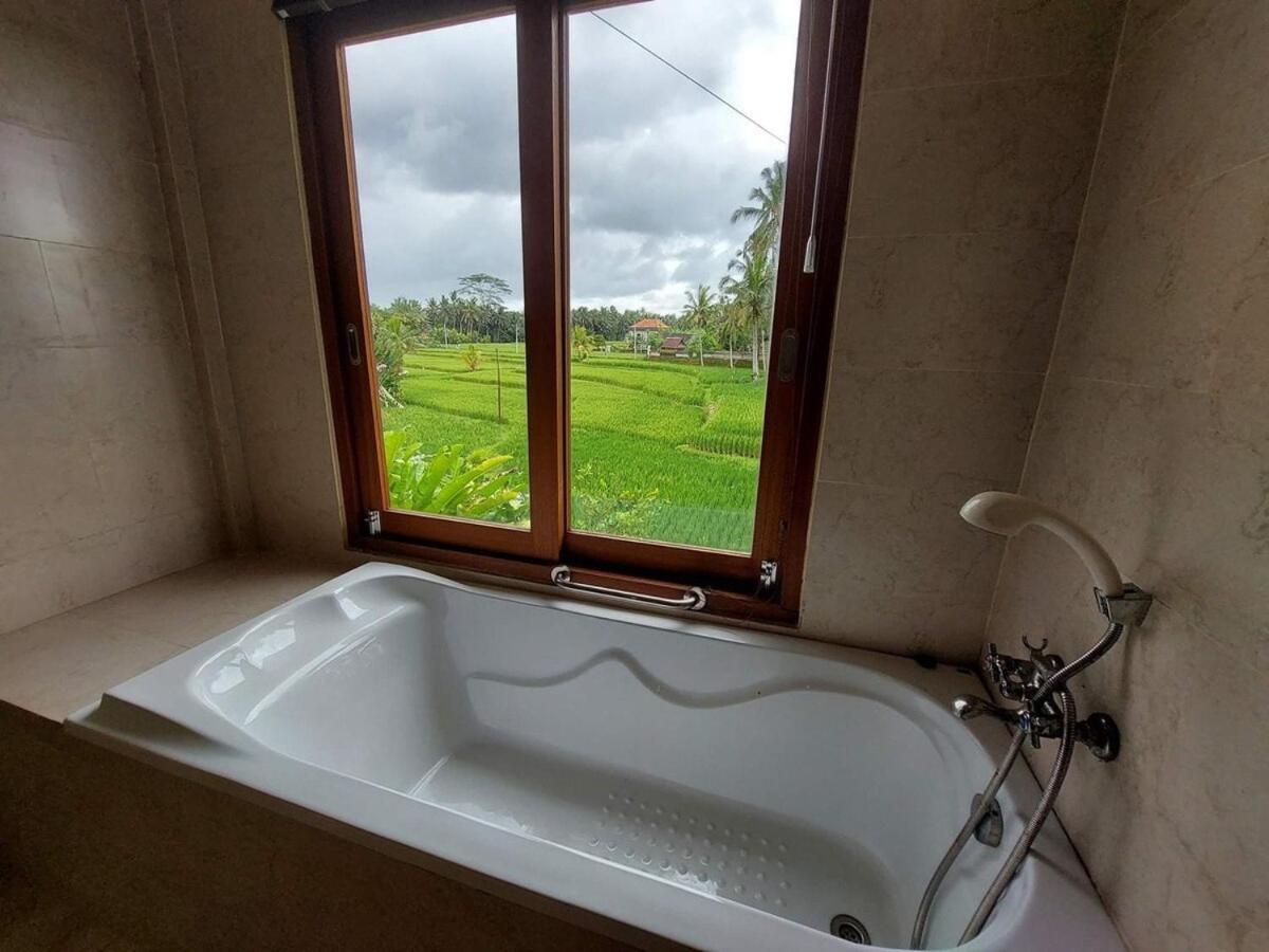 3br With Pool & View - Walkable To Center Holiday home *