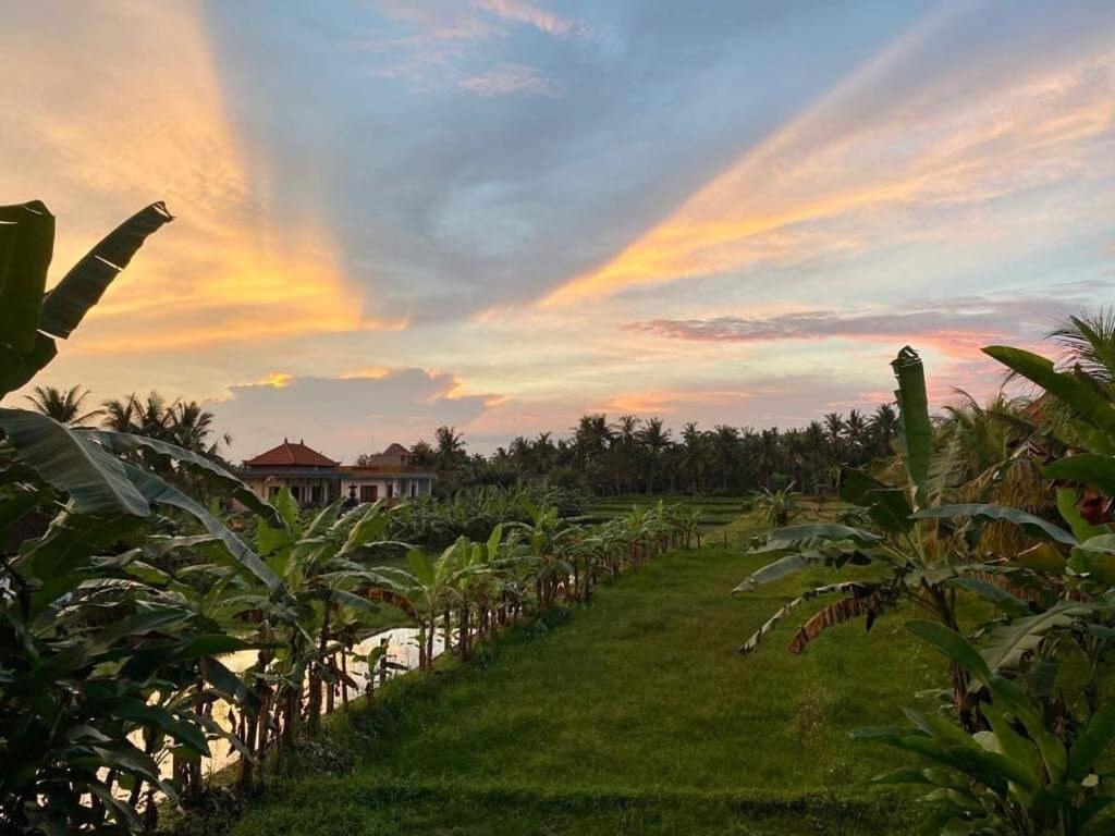 3br With Pool & View - Walkable To Center Holiday home Ubud (Bali)