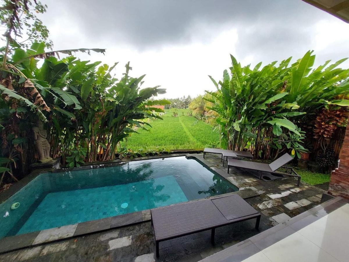 3br With Pool & View - Walkable To Center *