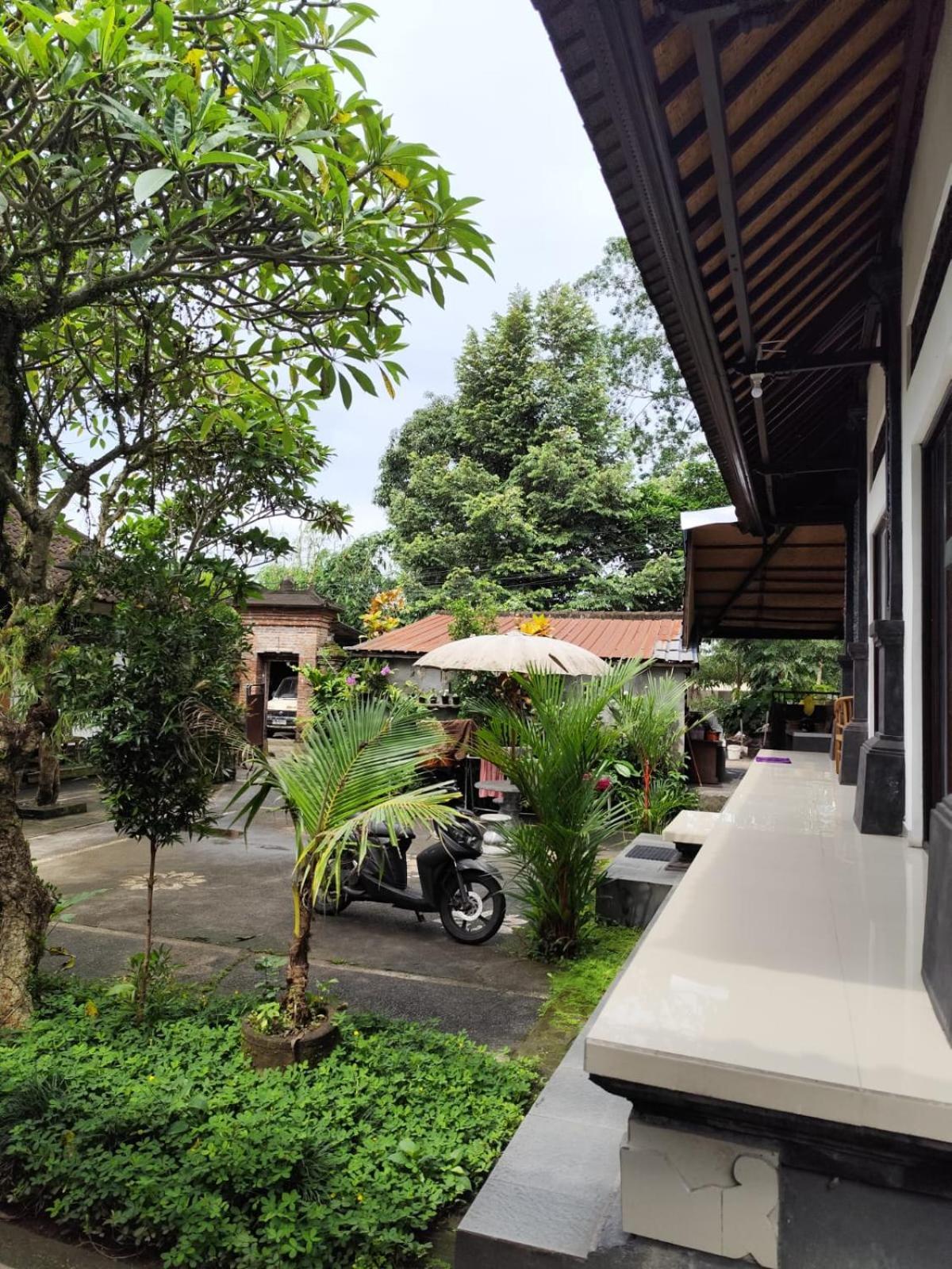 Aesthetic Homestay *