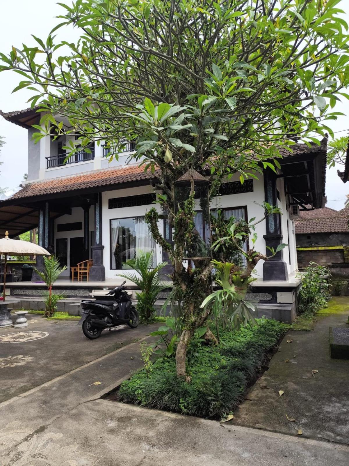 Aesthetic * Ubud (Bali)