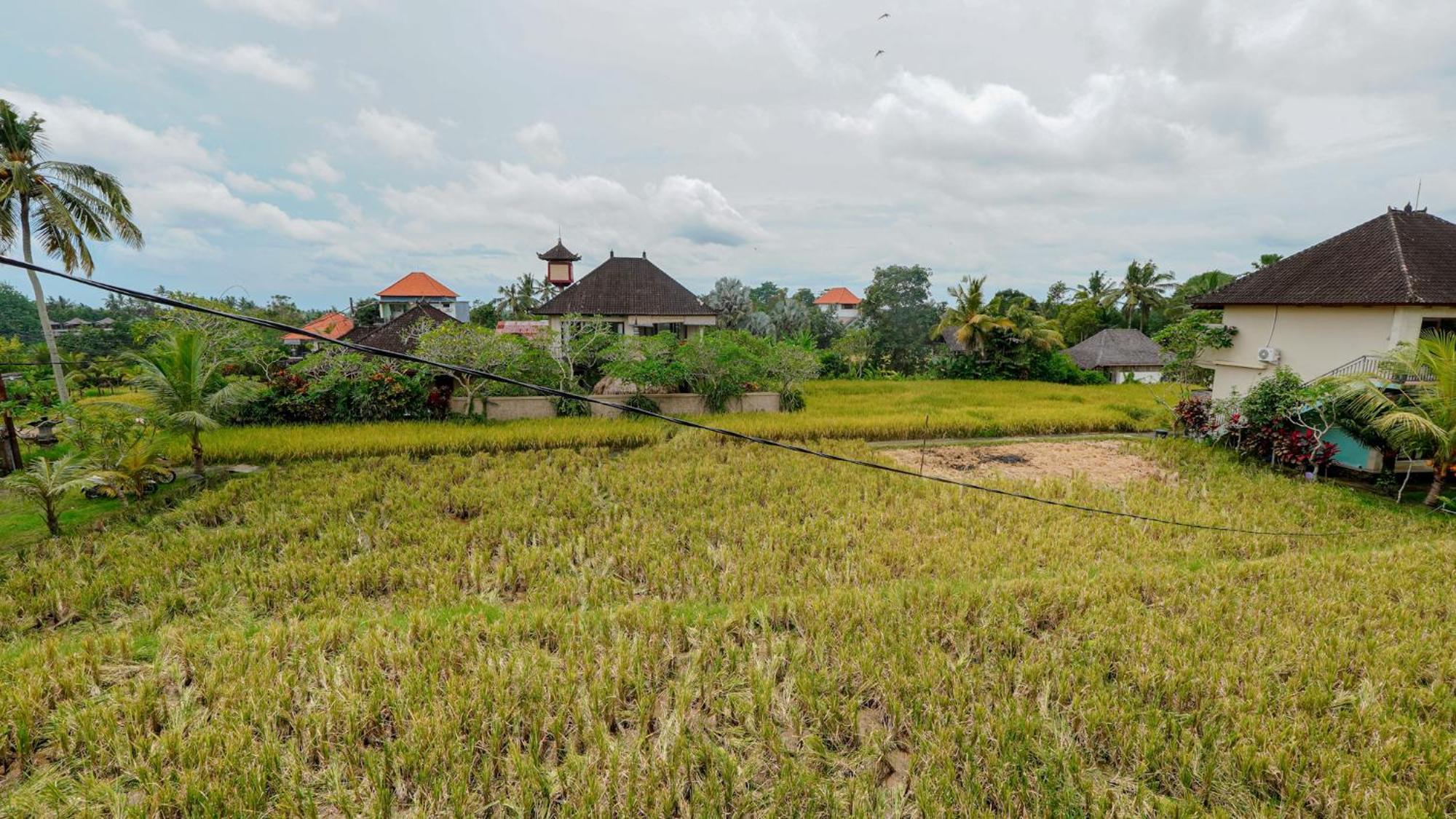 Cahaya Guest house *