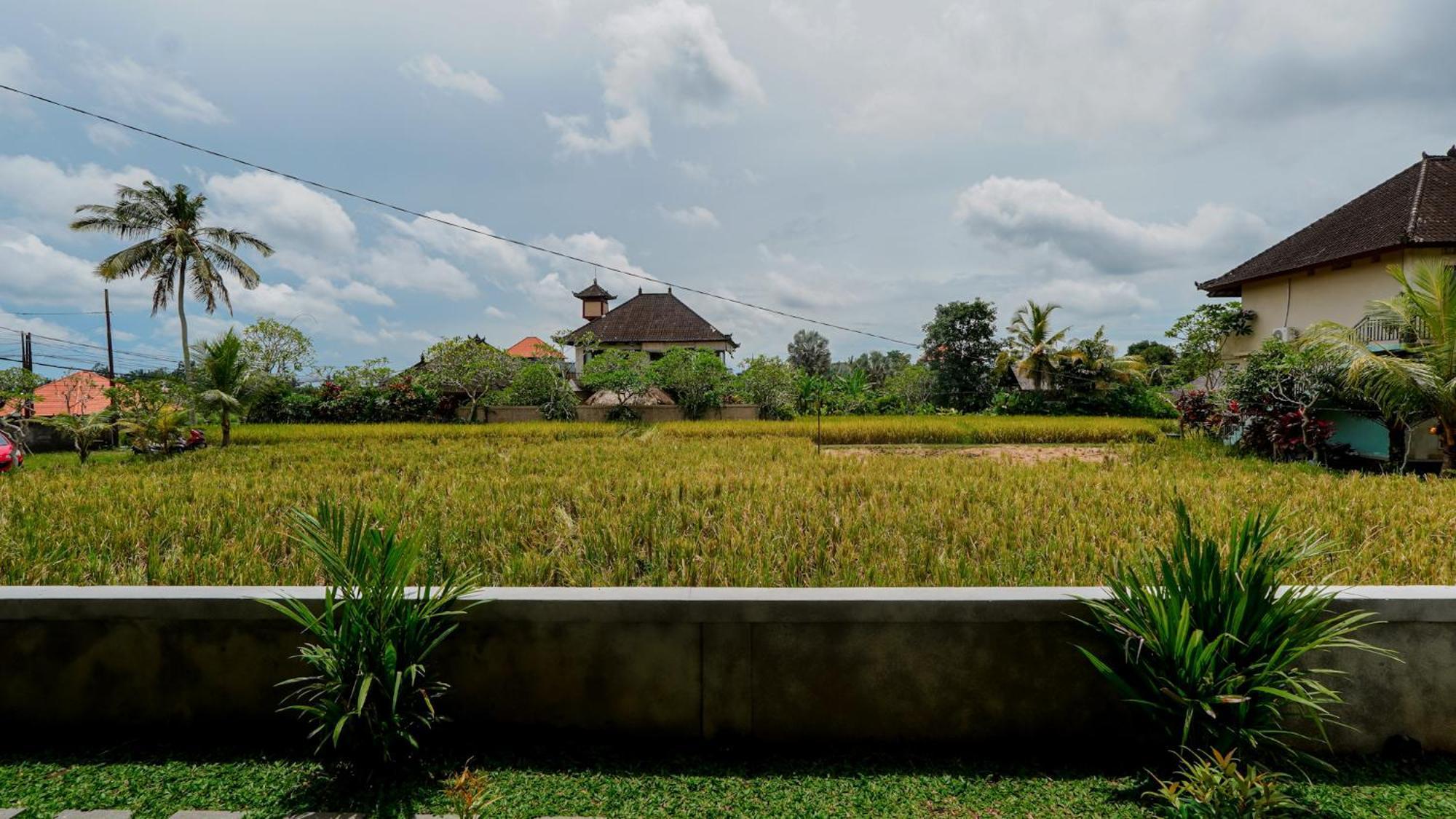 Cahaya