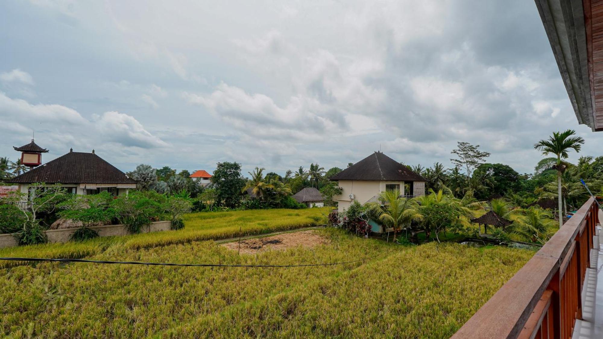 Cahaya * Ubud (Bali)