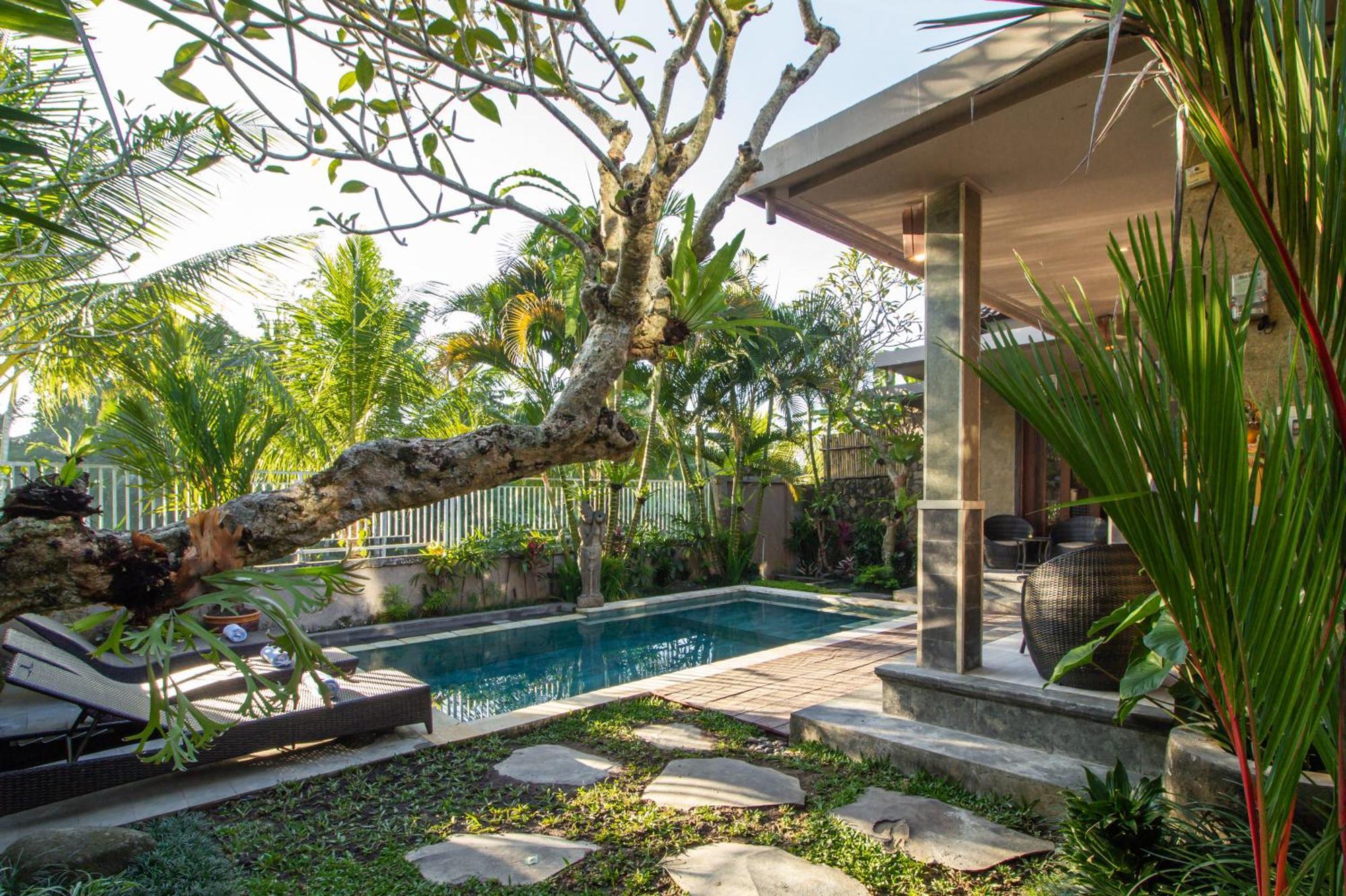 Satya * Ubud (Bali)