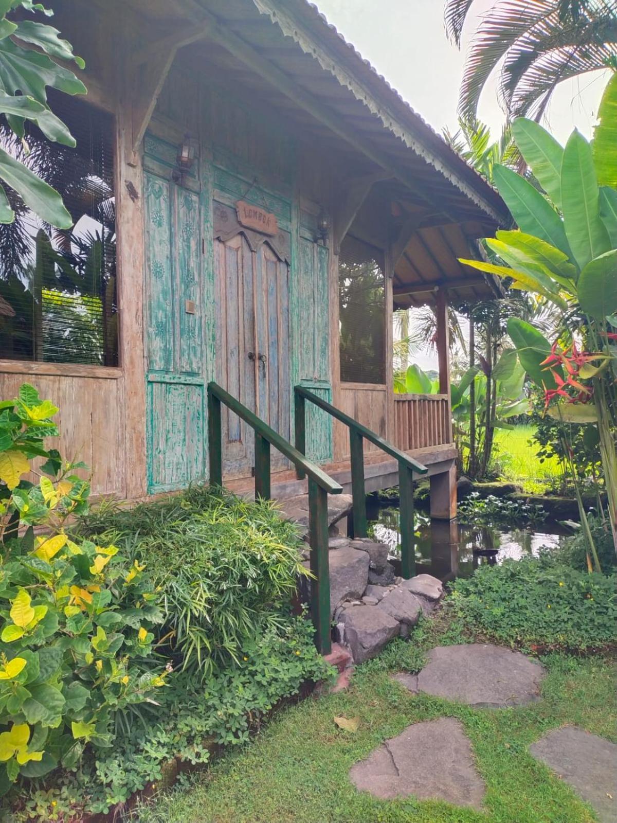 Guest house Bali Sawah Indah