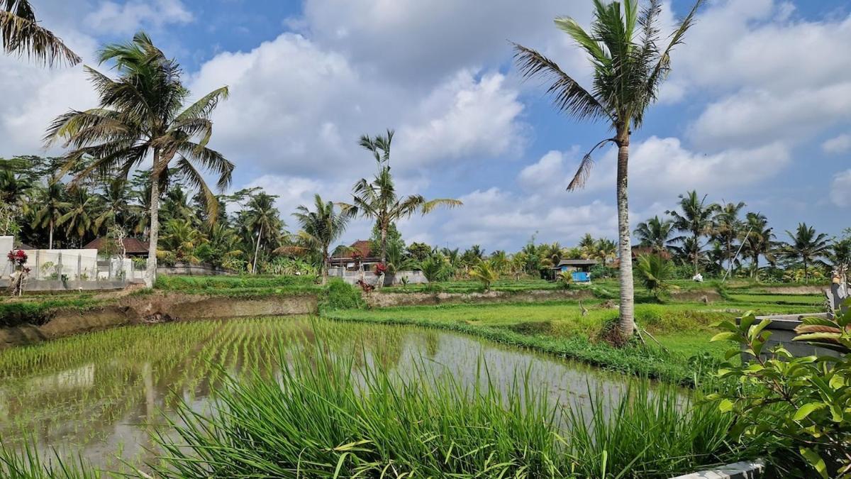 Holiday home Ari Sawah House, Luxury 2 Bedroom With Pool
