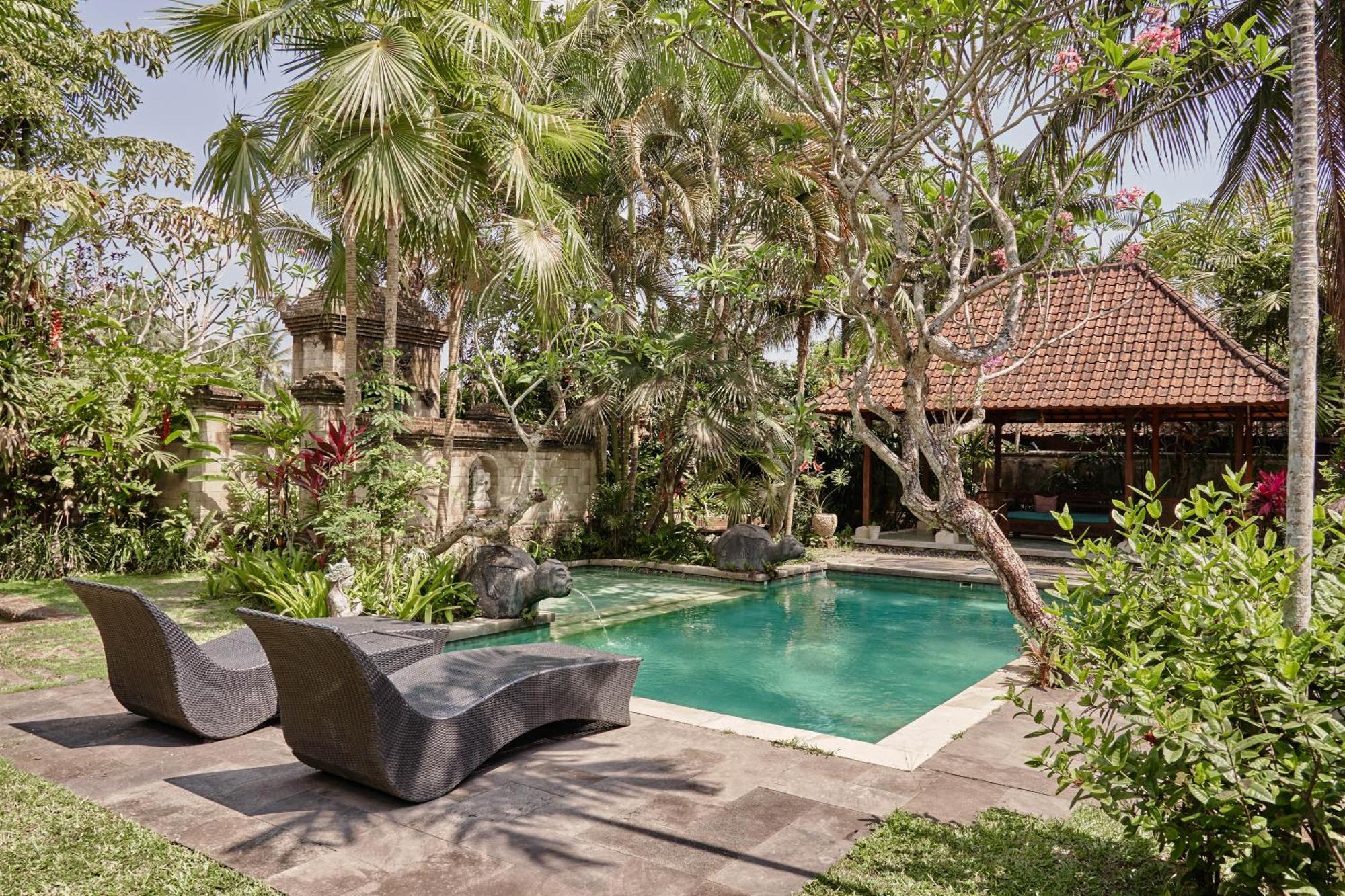 Soca 1 Ubud (Bali)