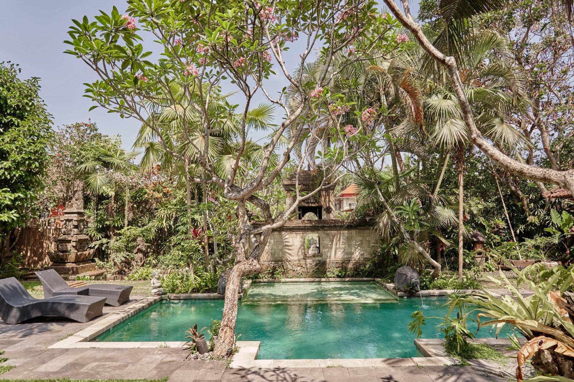 Villa Soca 1