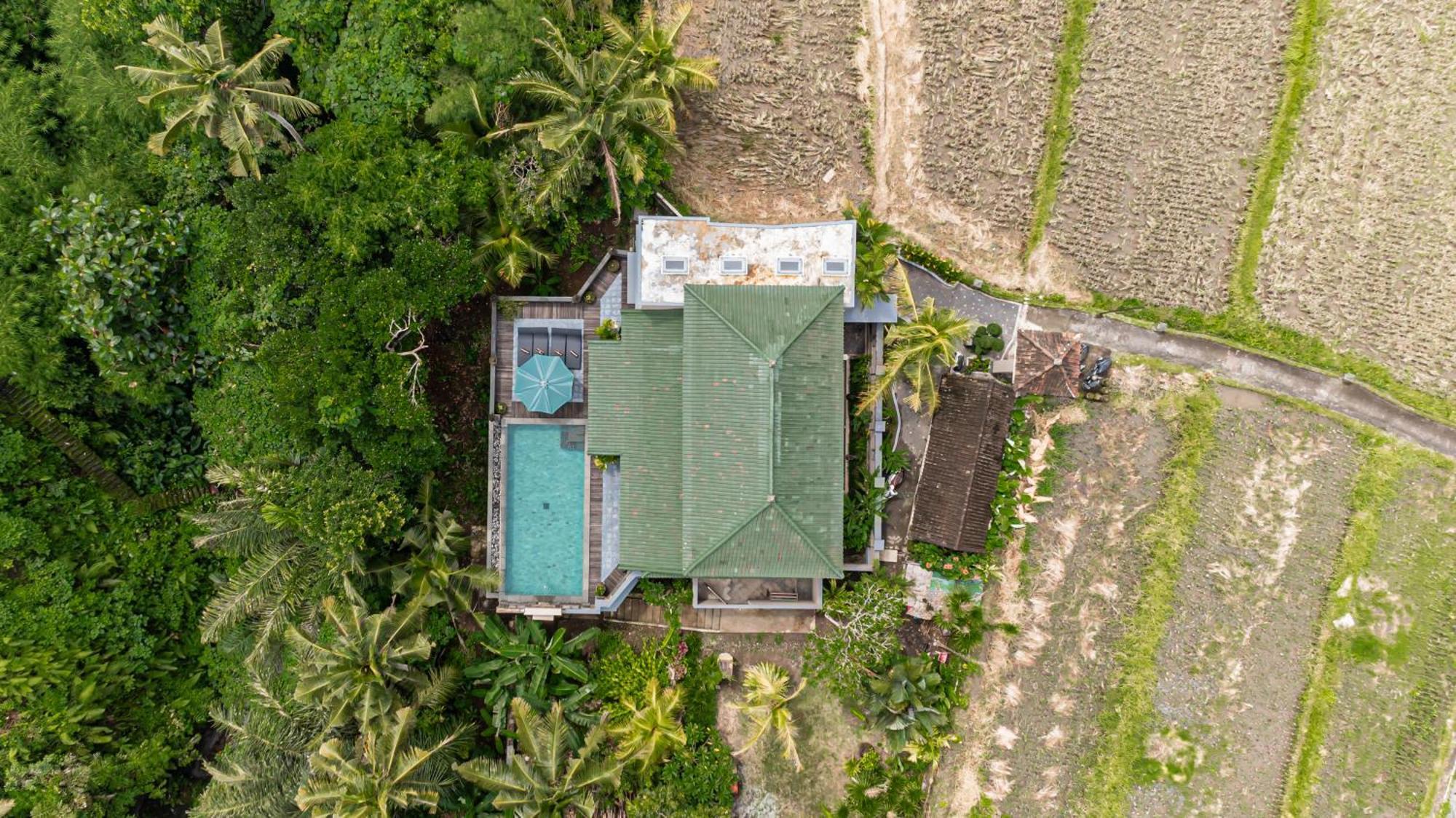 D'gajah
