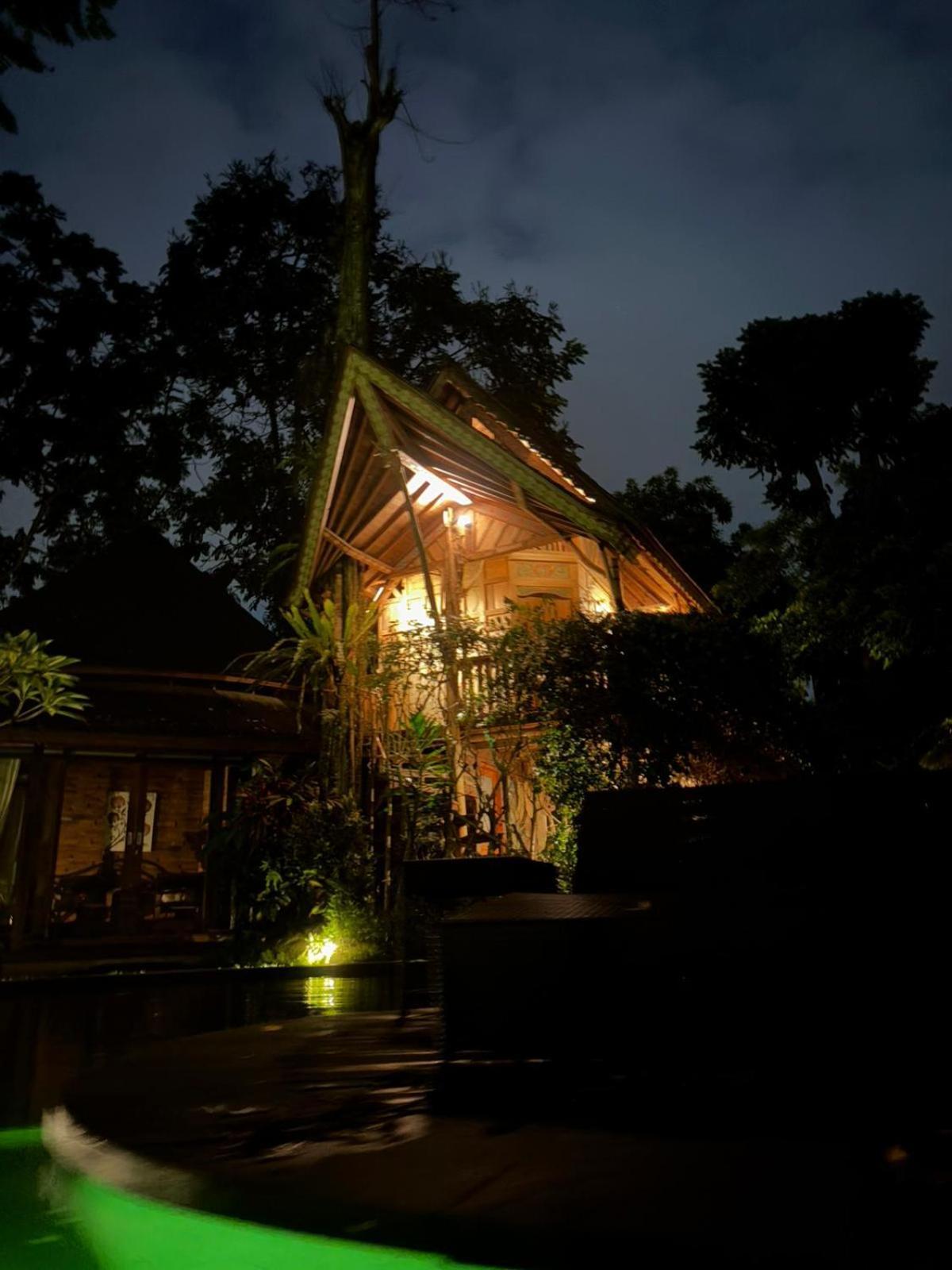 Holiday park Tree House