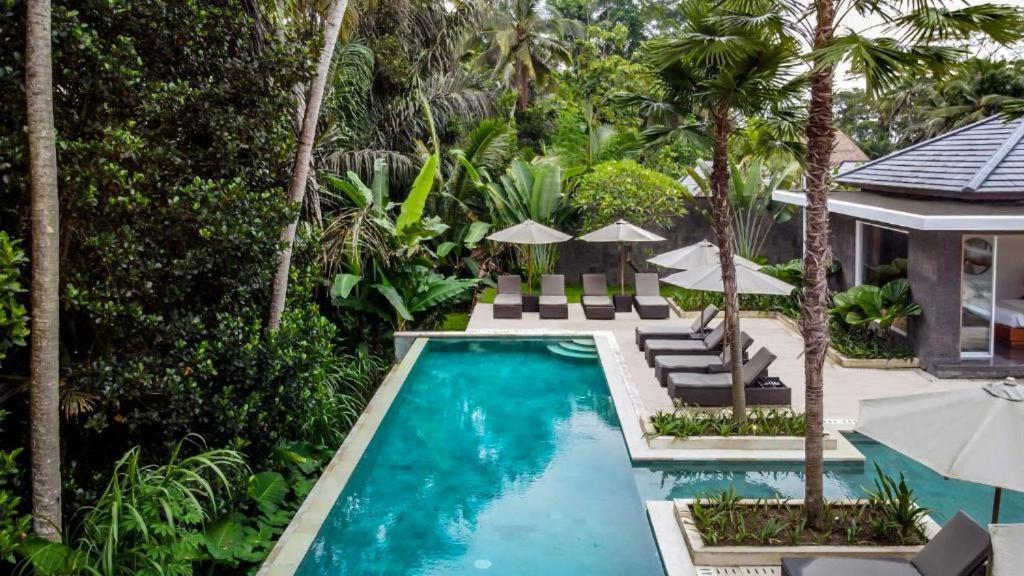 Exotic 6 Bedroom Coconut Trees Cyn *