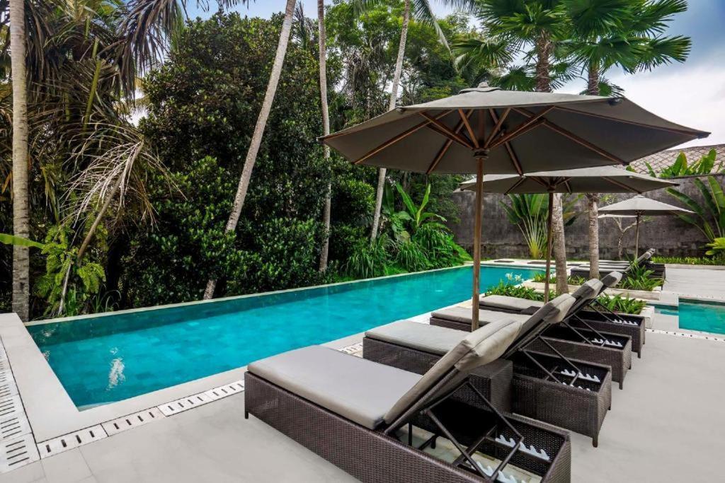 Villa Exotic 6 Bedroom Coconut Trees Cyn *