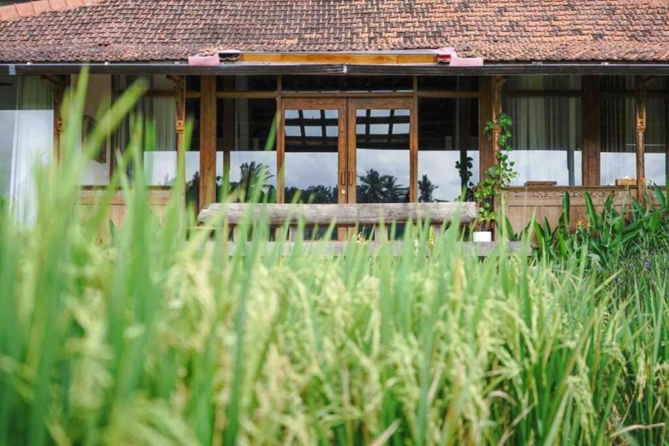 Villa Madura - New 3 Bedroom W/ Rice Paddy View