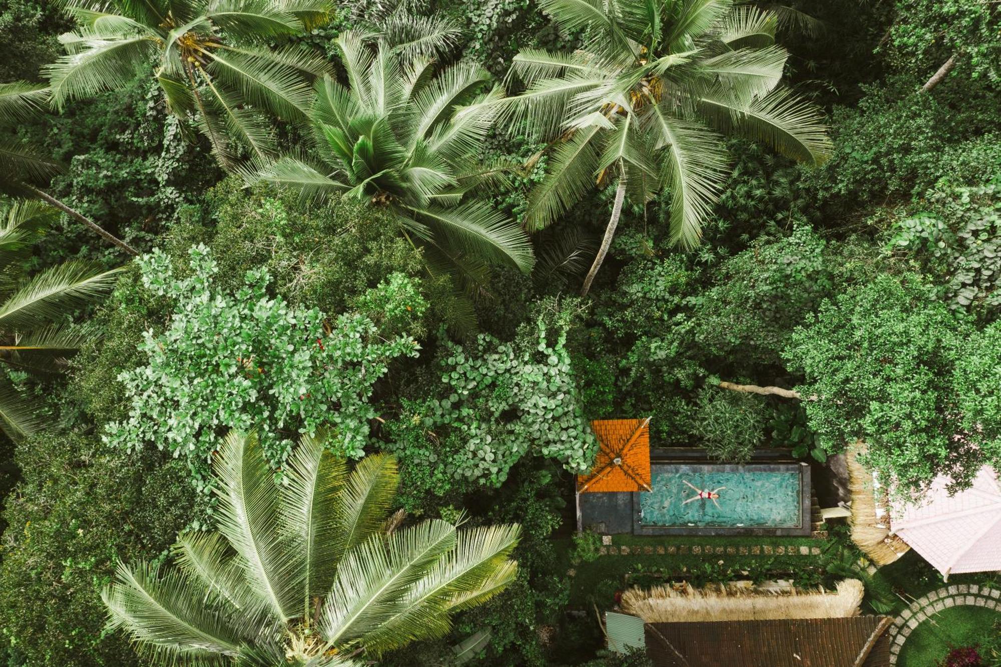 The Nest In Ubud, Bembengan Bed & Breakfast