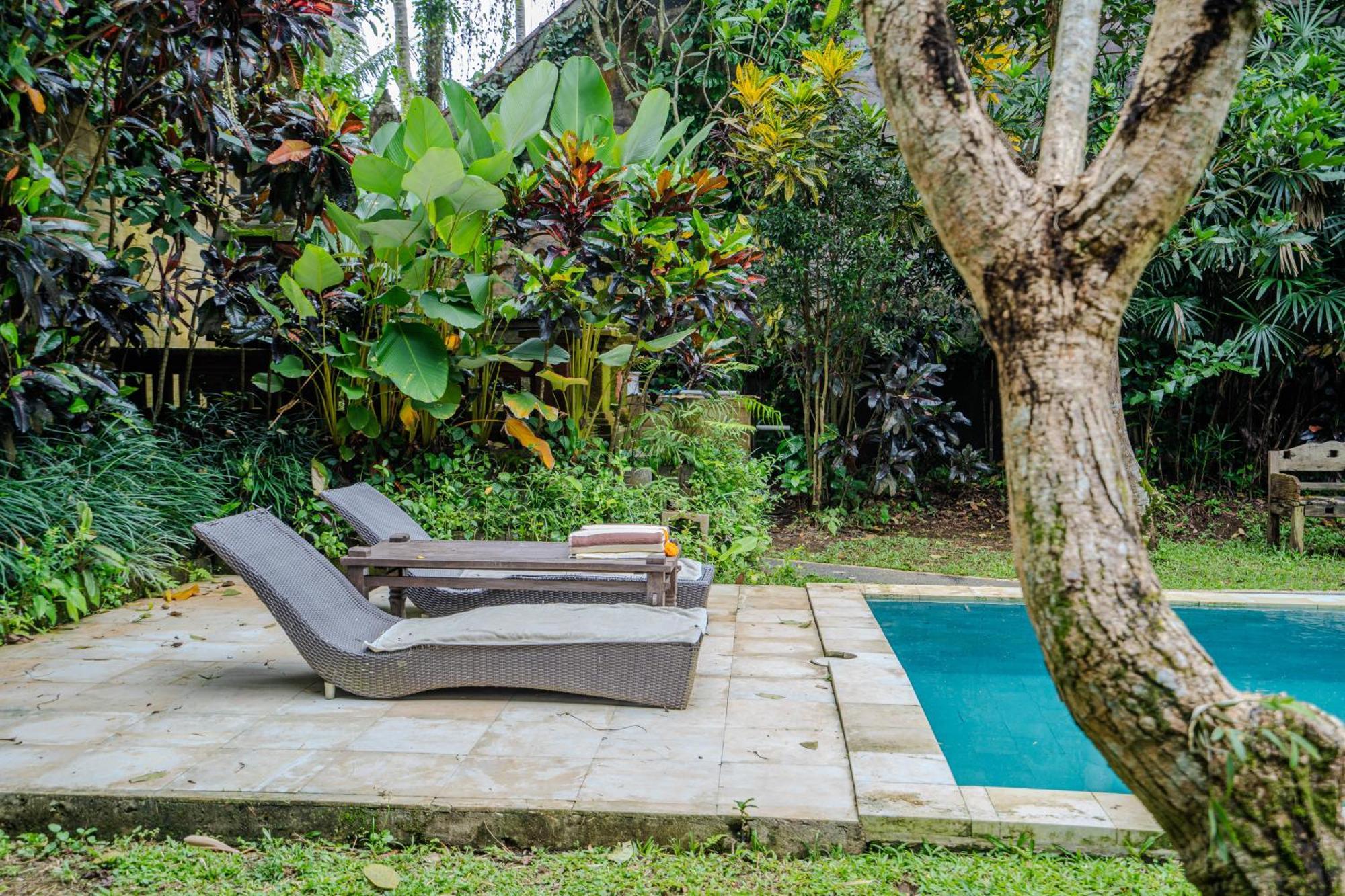 Ruben - 4 Bedrooms Jungle * Ubud (Bali)