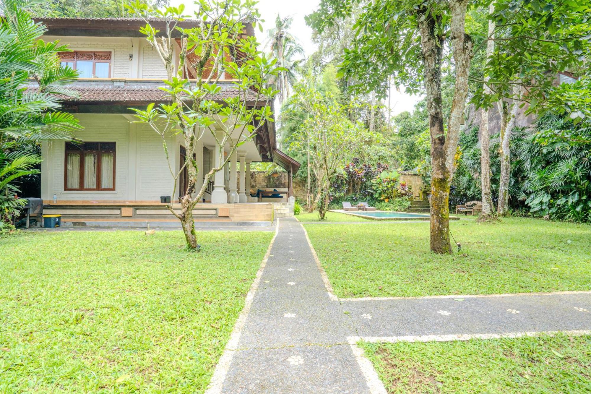 Ruben - 4 Bedrooms Jungle