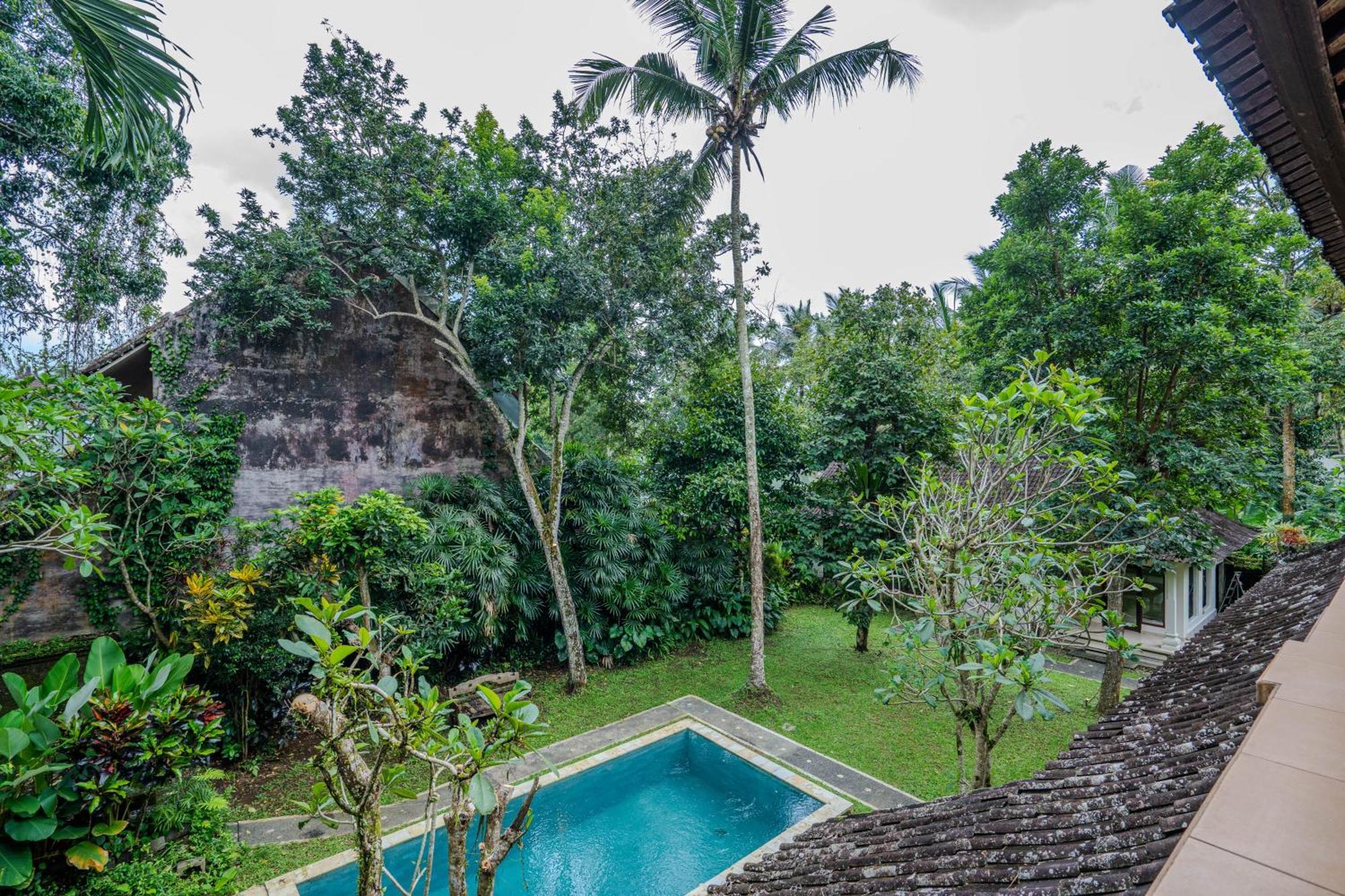 Holiday home Ruben - 4 Bedrooms Jungle *