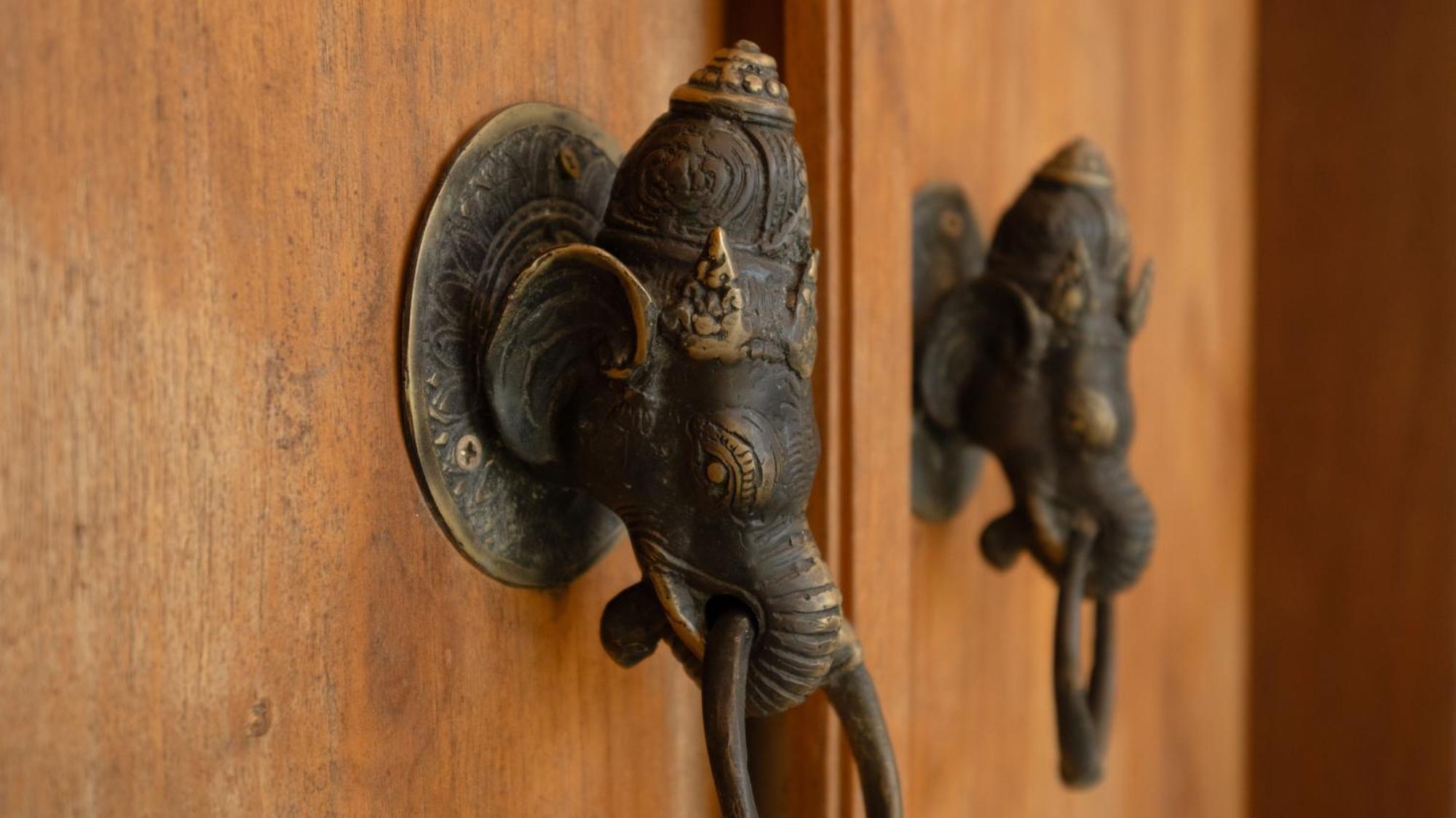 Elephant 4 By Finder