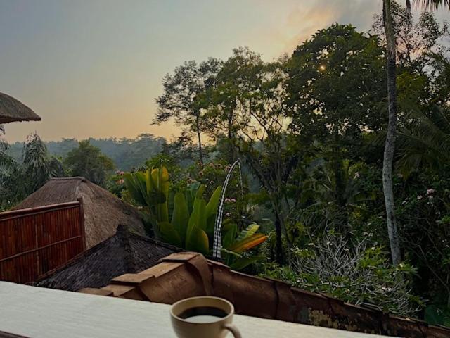 Villa Shamballa Moon Ubud (Bali)