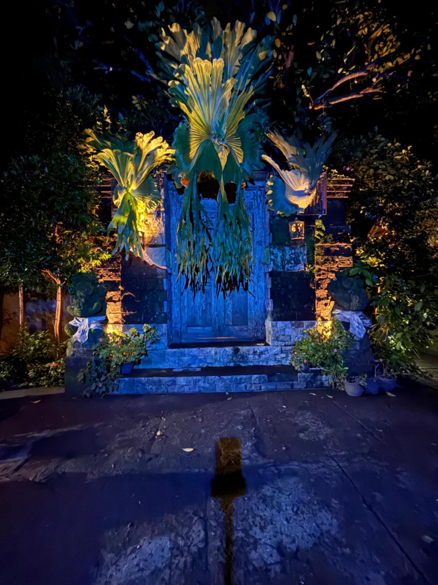 Bumbung Sari Villa *