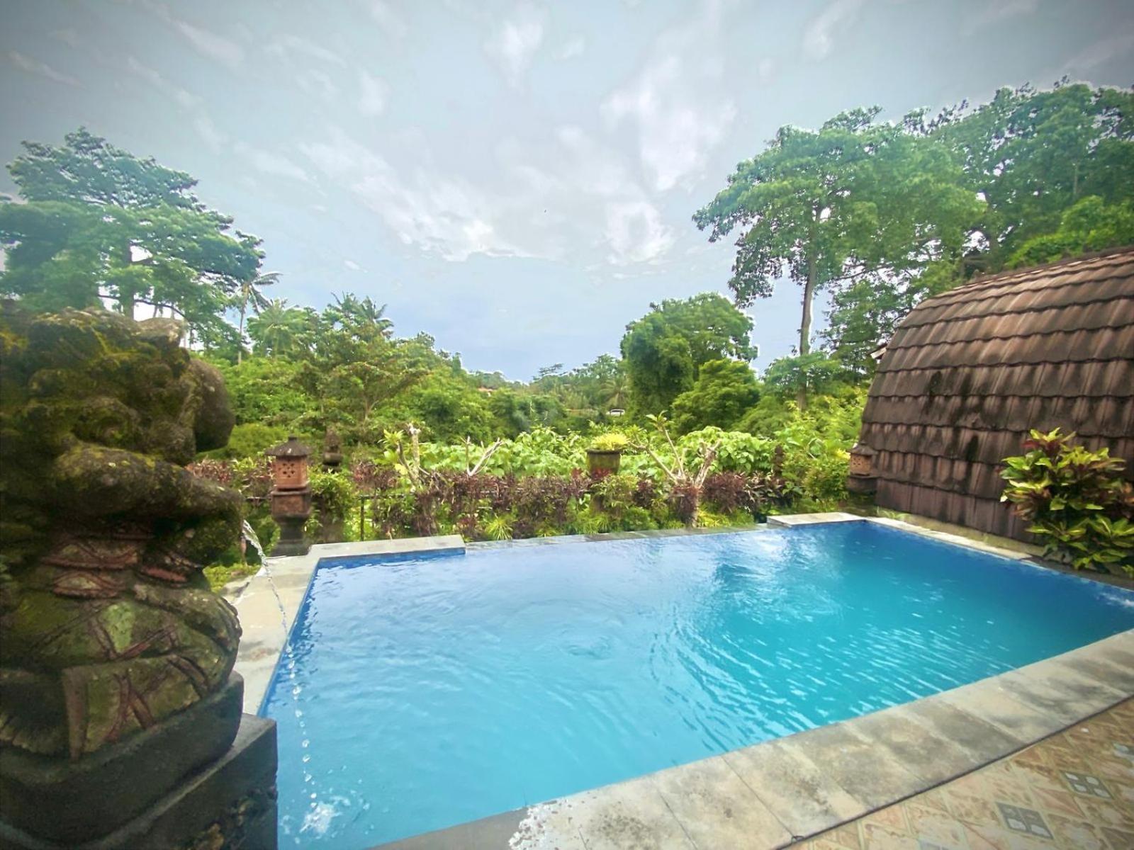 Villa Big Tree House
