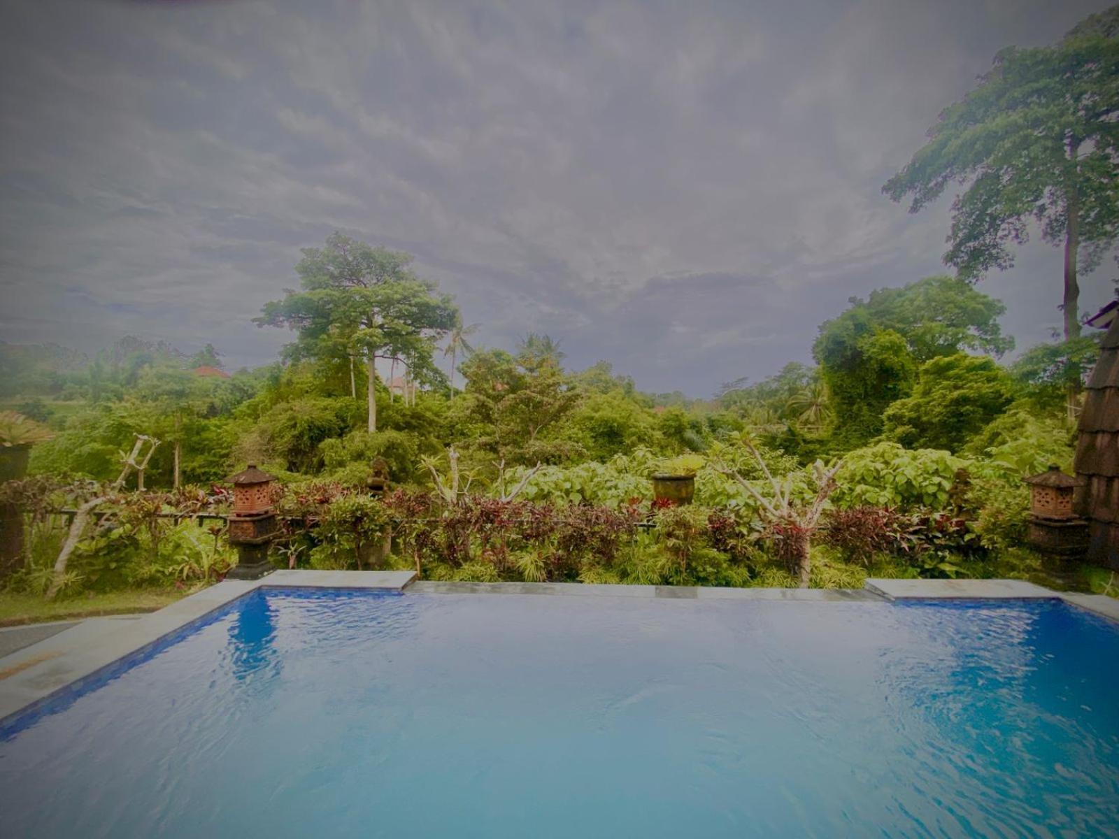 Villa Big Tree House Ubud (Bali)